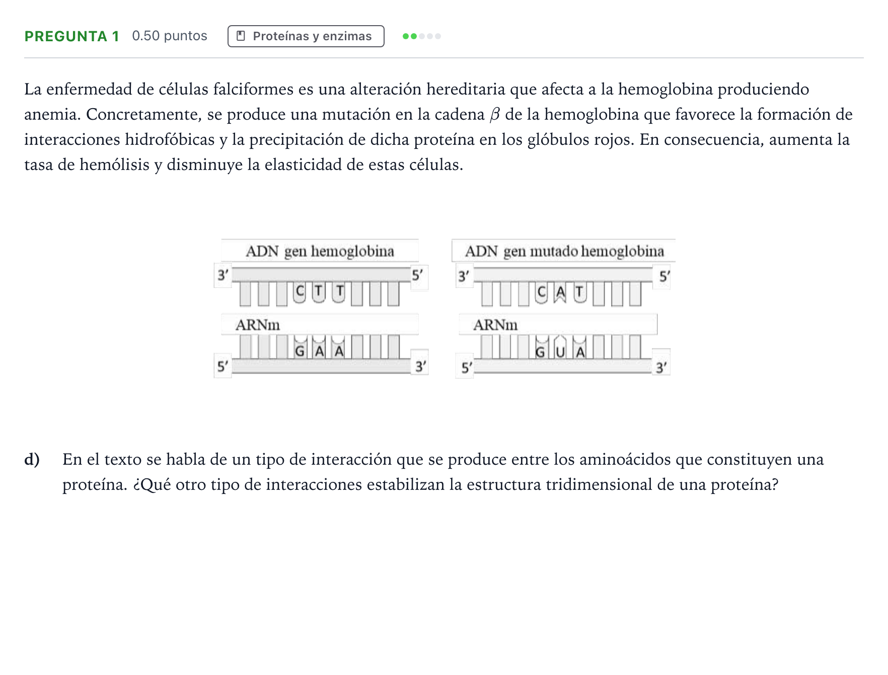Enunciado: Pregunta 1 - Proteínas y enzimas · Biología PAU Valencia Extraordinaria DANA 2025