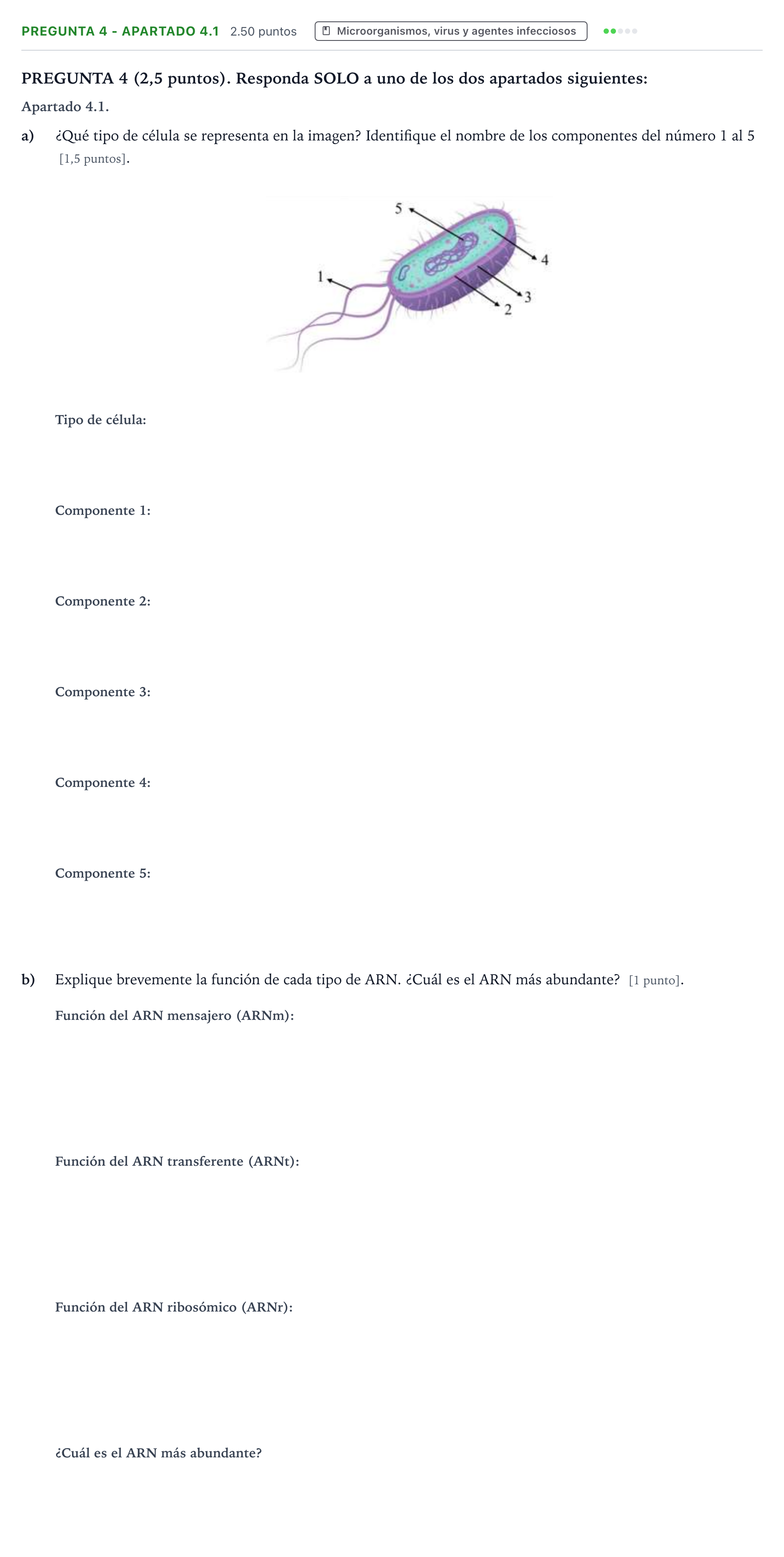 Enunciado: Pregunta 4 - Apartado 4.1 · Biología PAU Valencia Extraordinaria DANA 2025