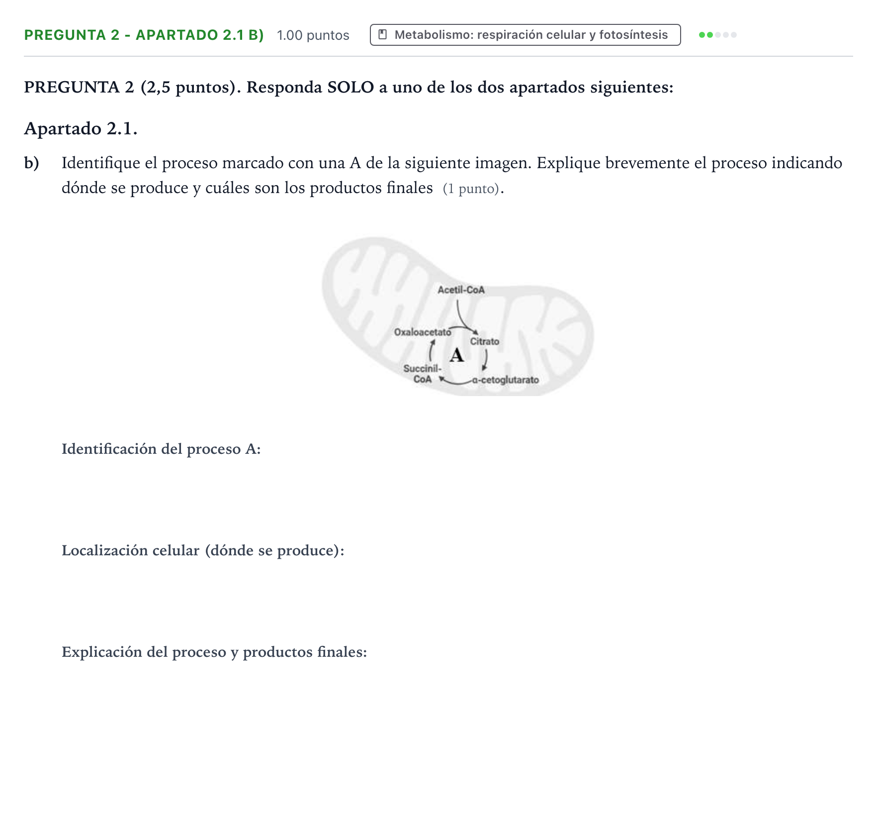 Enunciado: Pregunta 2 - Apartado 2.1 b) · Biología PAU Valencia Ordinaria 2025
