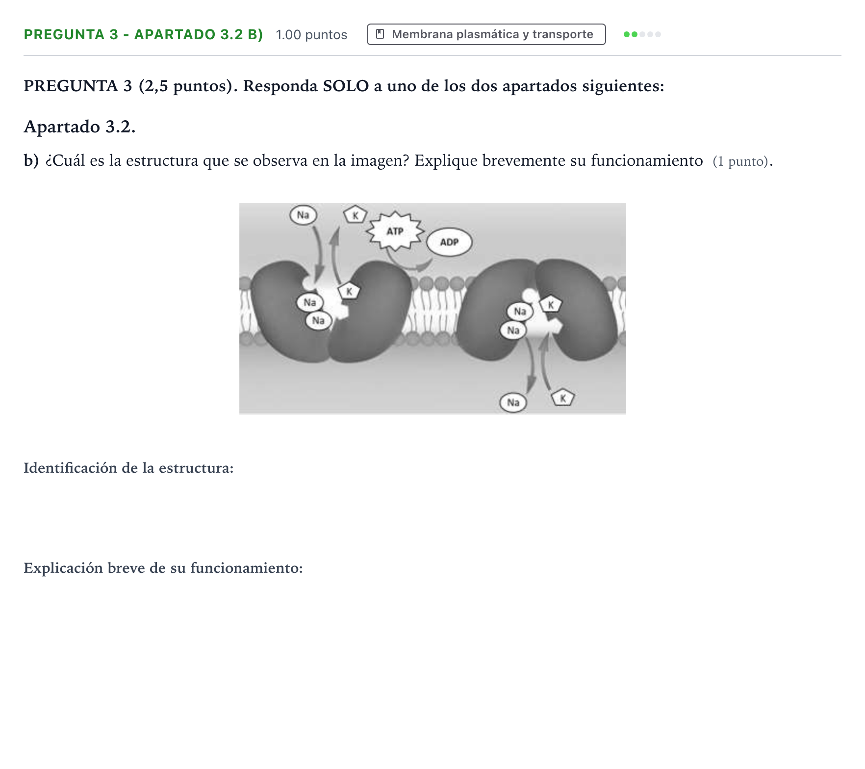 Enunciado: Pregunta 3 - Apartado 3.2 b) · Biología PAU Valencia Ordinaria 2025