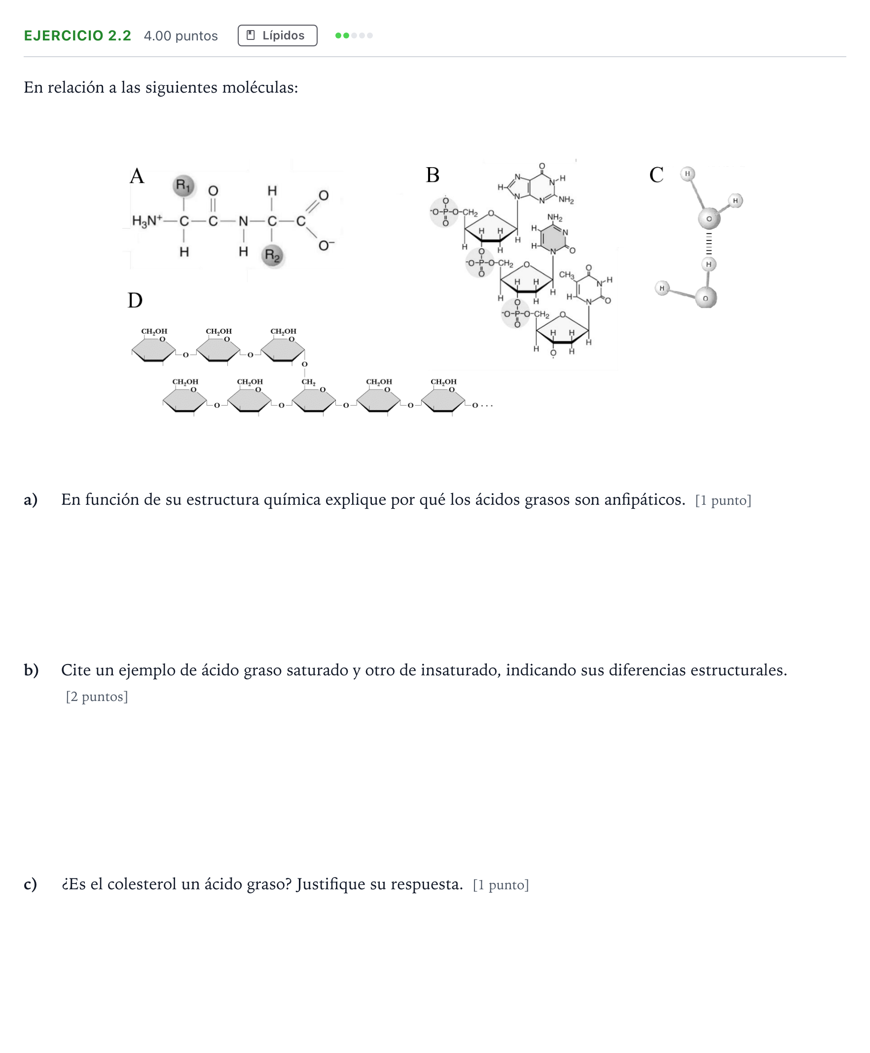 Enunciado: Ejercicio 2.2 - Lípidos · Biología PAU Valencia Ordinaria 2024