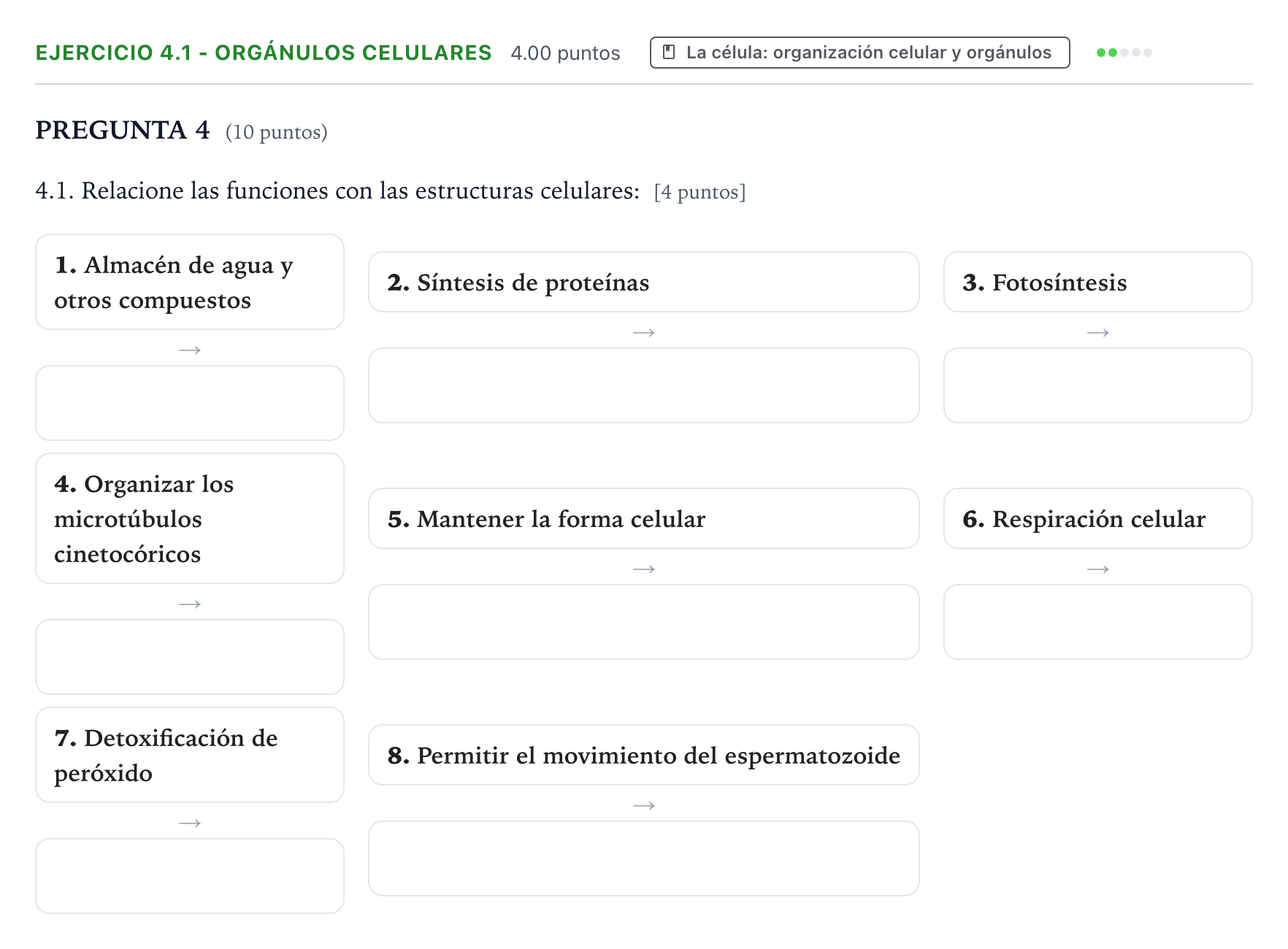 Enunciado: Ejercicio 4.1 - Orgánulos celulares · Biología PAU Valencia Ordinaria 2024