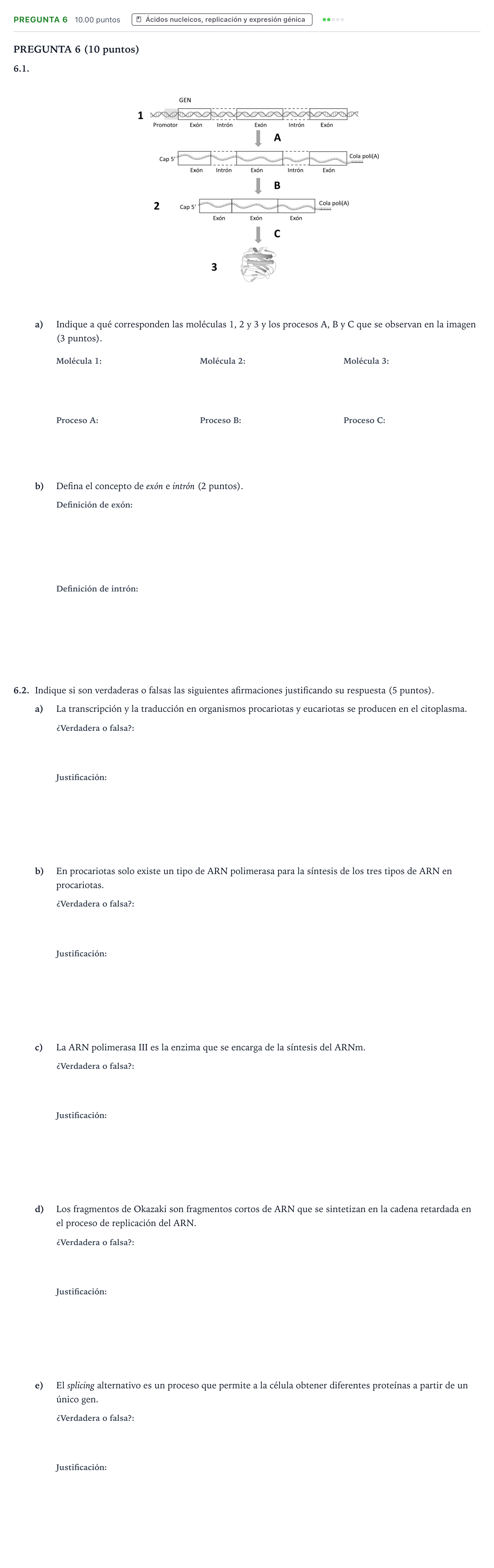 Enunciado: Pregunta 6 · Biología PAU Valencia Ordinaria 2024