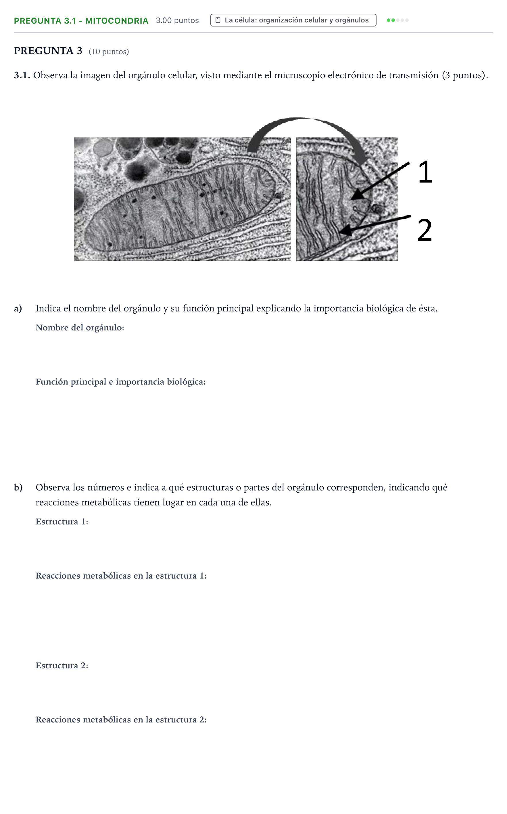 Enunciado: Pregunta 3.1 - Mitocondria · Biología PAU Valencia Ordinaria 2022