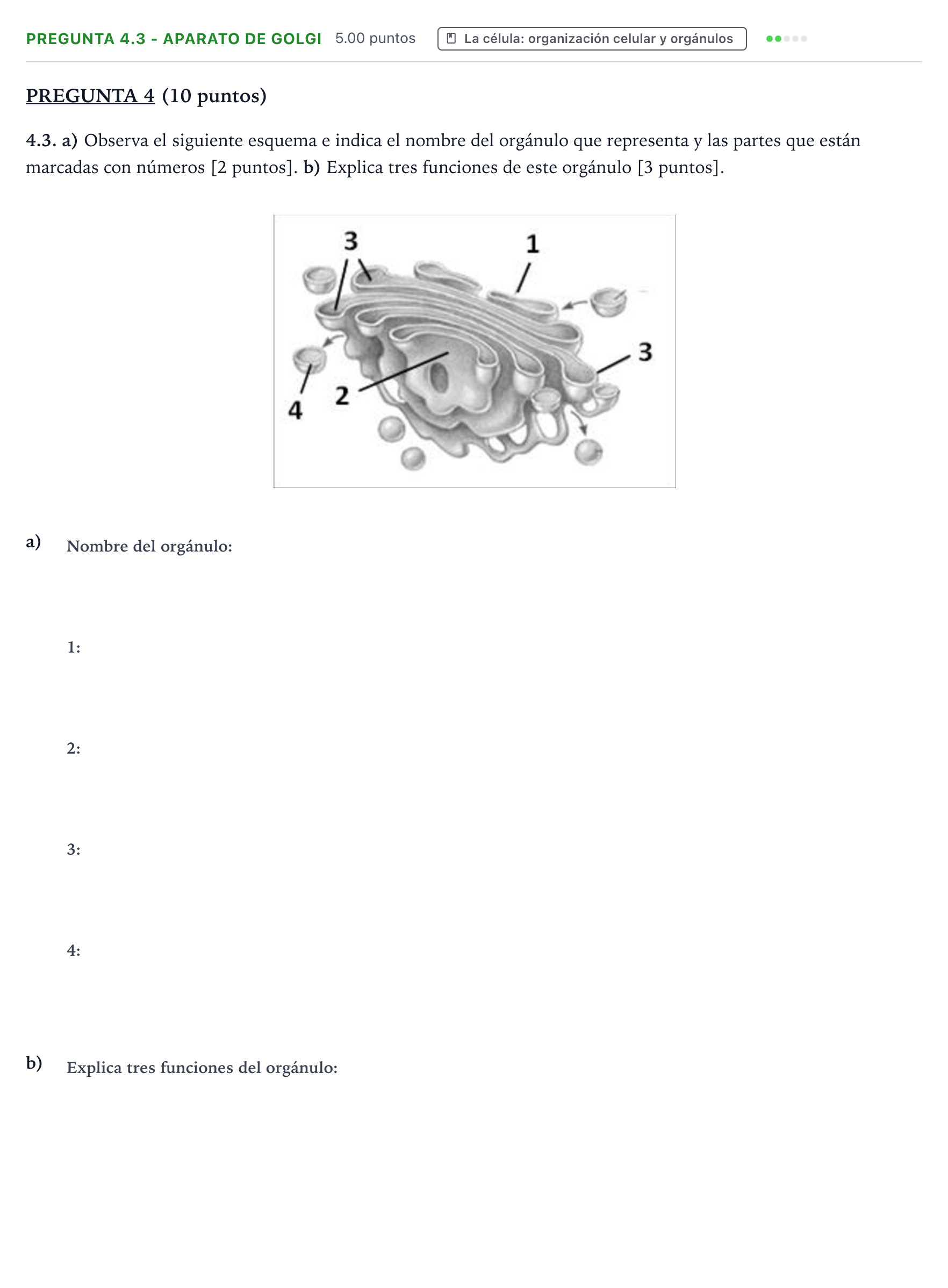 Enunciado: Pregunta 4.3 - Aparato de Golgi · Biología PAU Valencia Ordinaria 2022