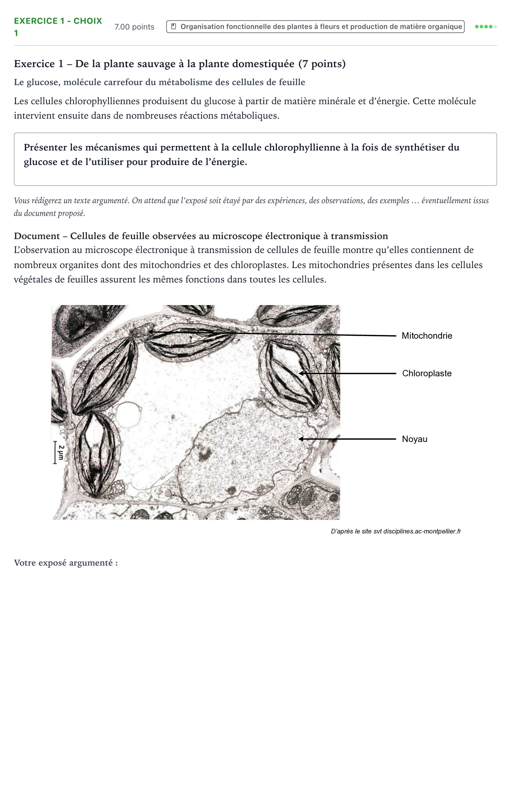 Énoncé: Exercice 1 - Choix 1 · Bac Sciences de la Vie et de la Terre Amérique du Sud 2021 (jour 2)