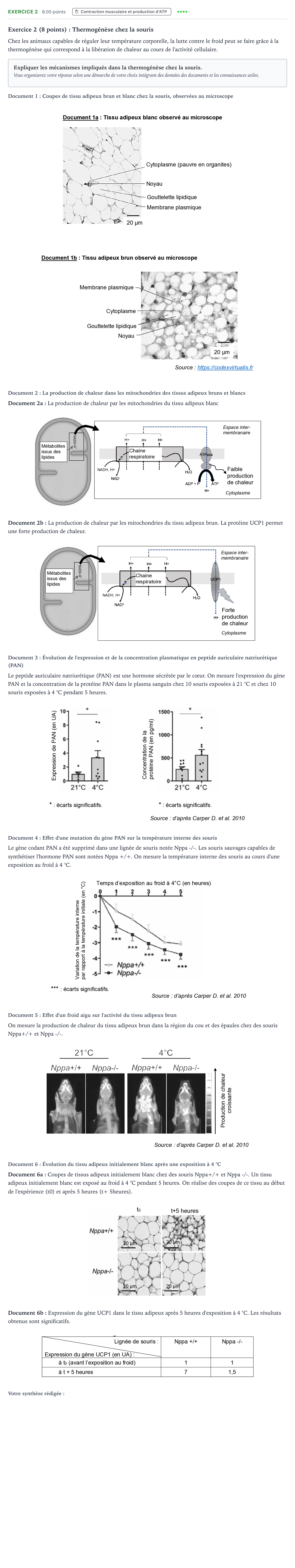 Énoncé: Exercice 2 · Bac Sciences de la Vie et de la Terre Asie 2024 (jour 1)