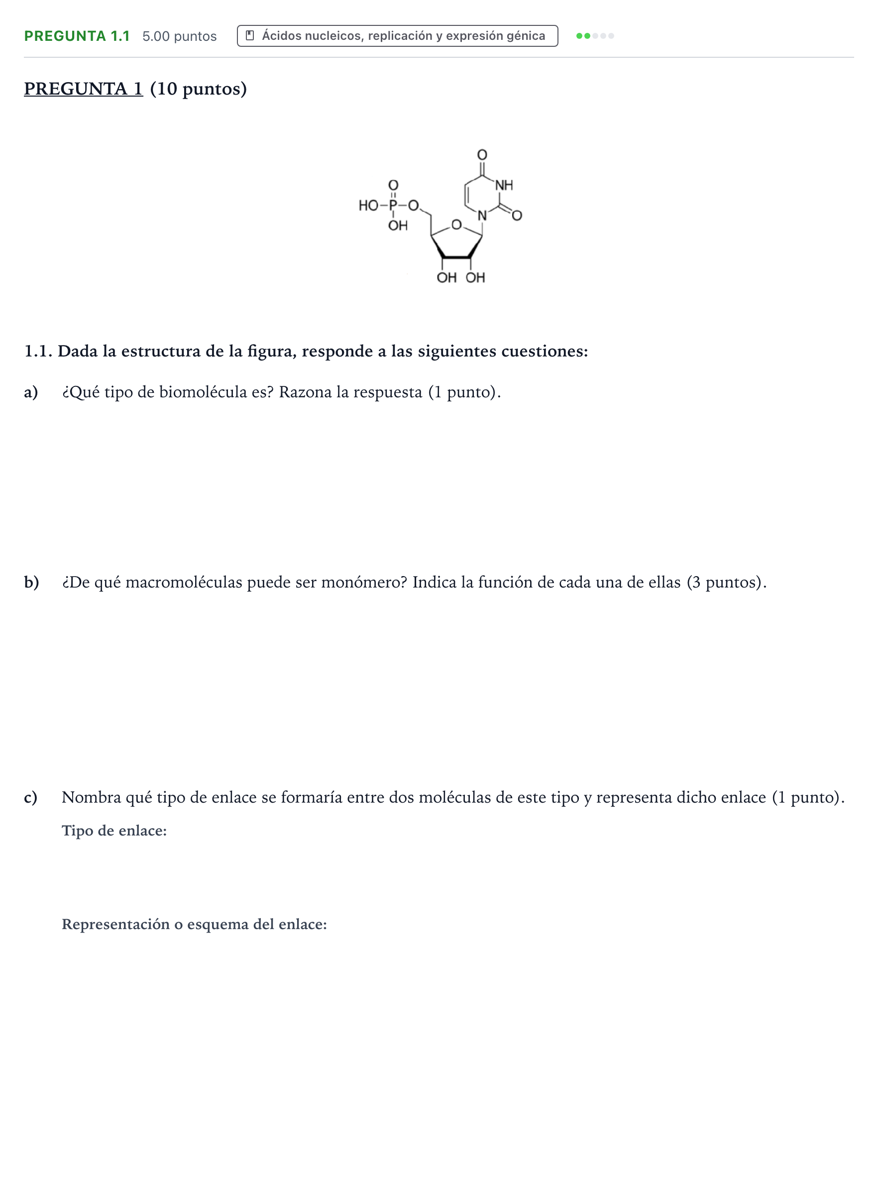 Enunciado: Pregunta 1.1 - Ácidos nucleicos · Biología PAU Valencia Ordinaria 2021