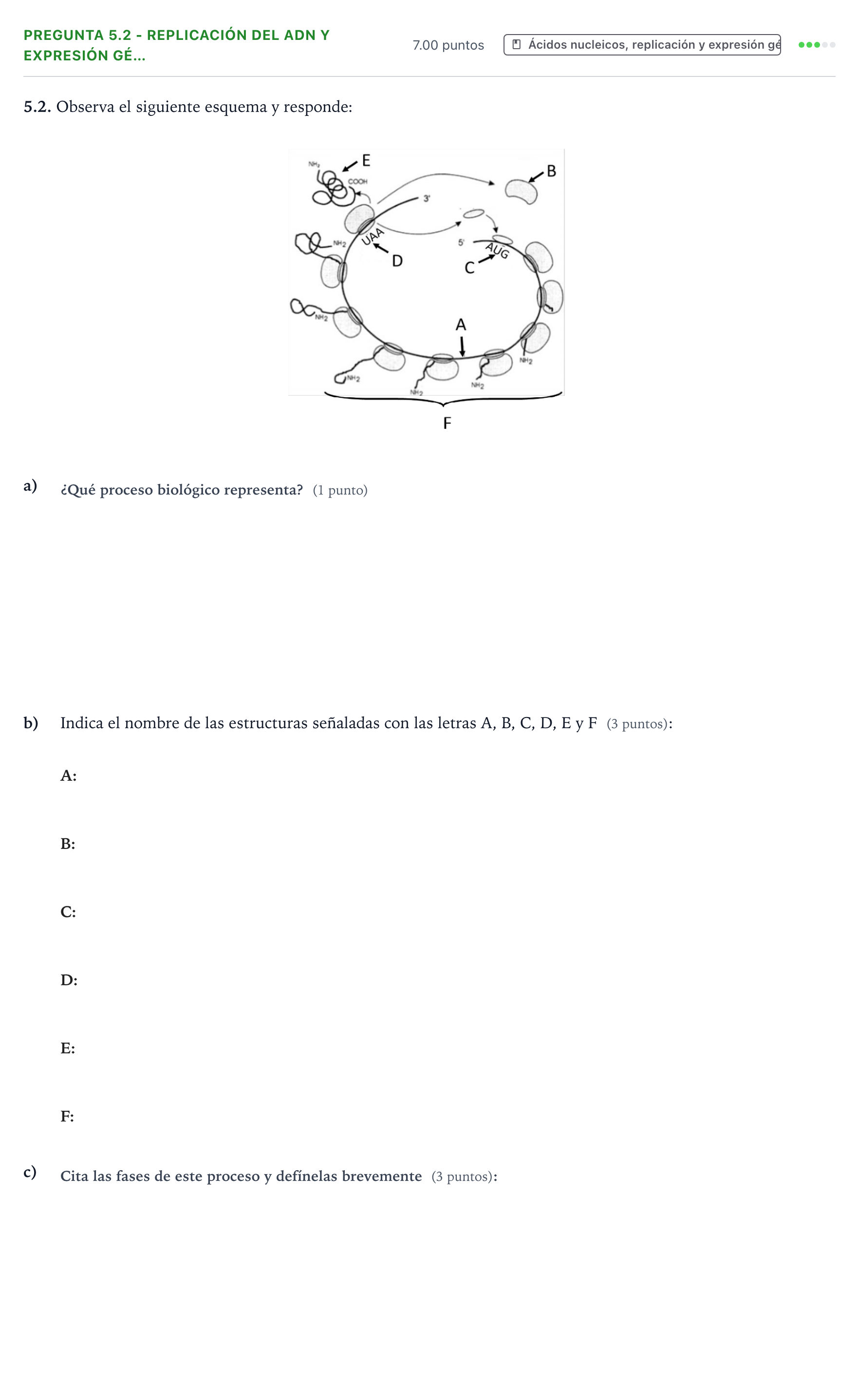 Enunciado: Pregunta 5.2 - Replicación del ADN y expresión gé… · Biología PAU Valencia Ordinaria 2021