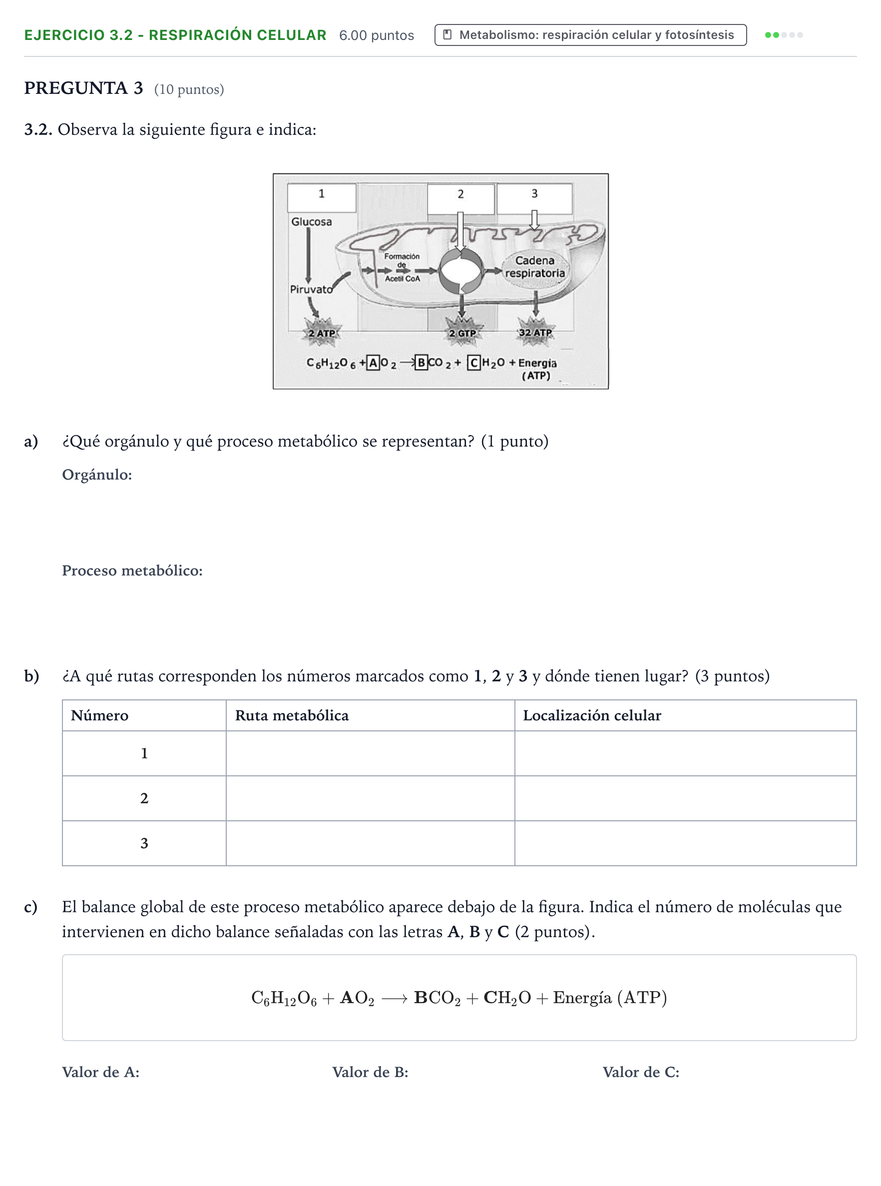 Enunciado: Ejercicio 3.2 - Respiración celular · Biología PAU Valencia Extraordinaria 2021