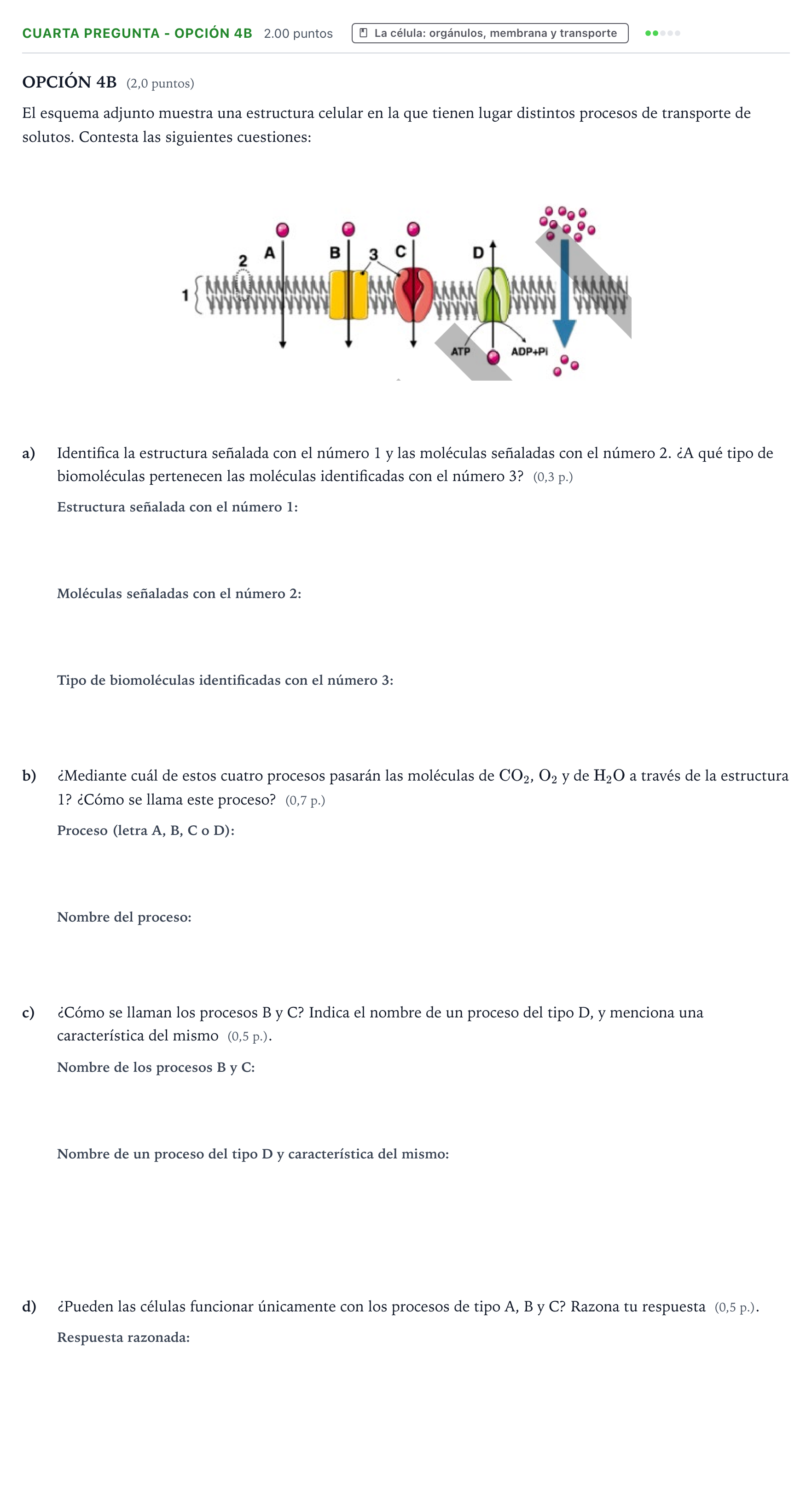 Enunciado: Ejercicio Cuarta Pregunta - Opción 4B · Biología PAU País Vasco Extraordinaria 2026