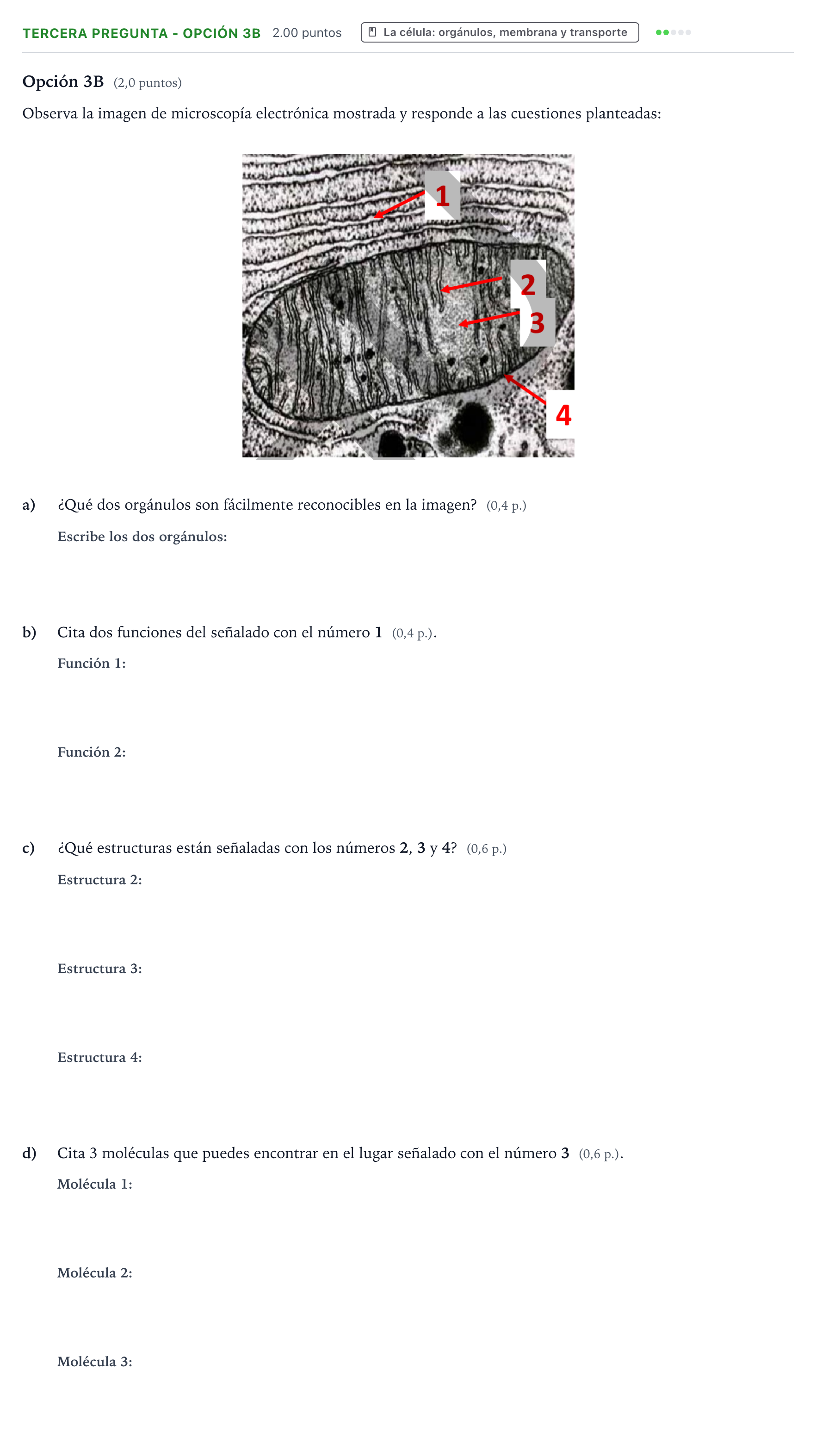 Enunciado: Ejercicio Tercera Pregunta - Opción 3B · Biología PAU País Vasco Extraordinaria 2026