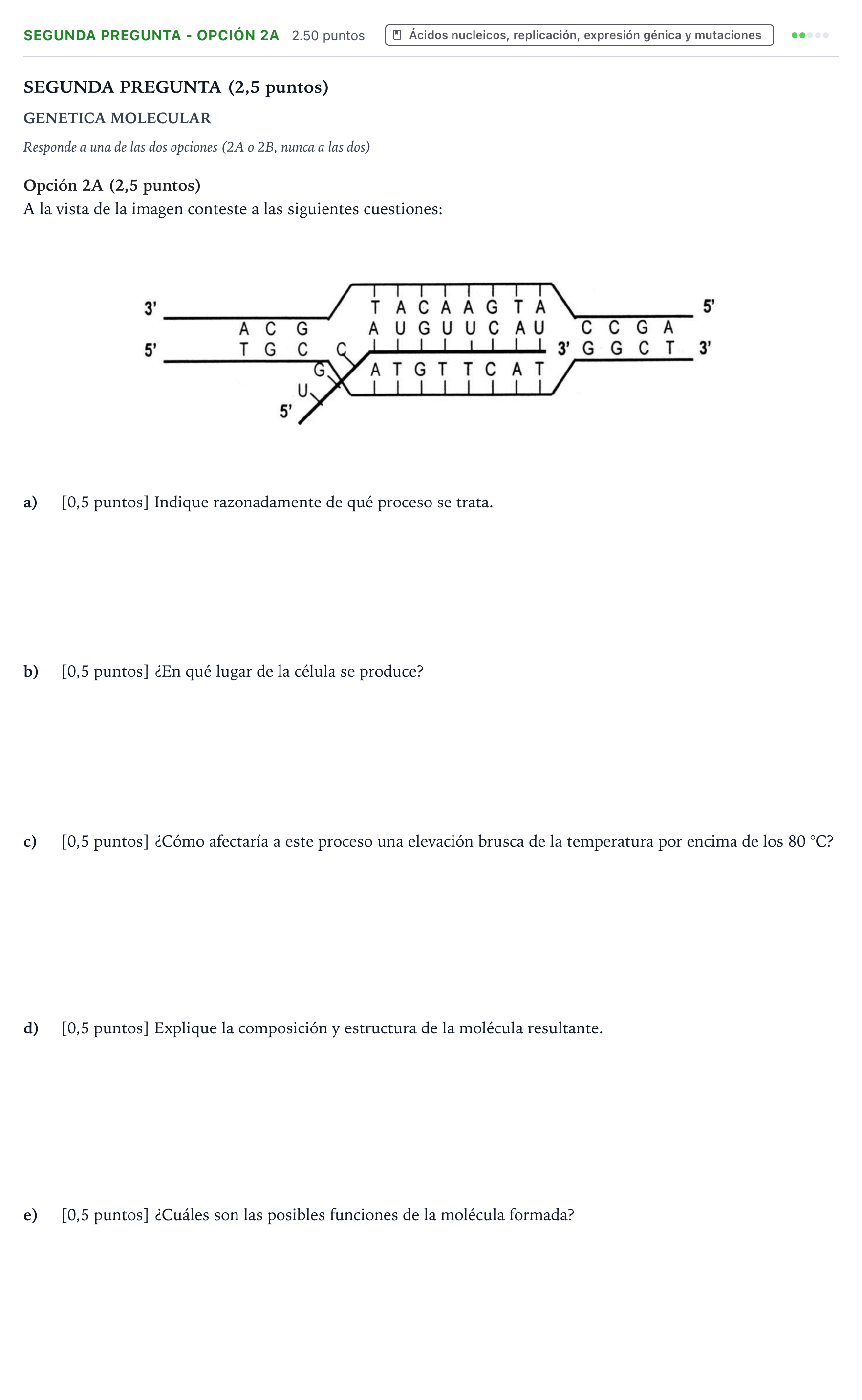 Enunciado: Ejercicio Segunda Pregunta - Opción 2A · Biología PAU País Vasco Extraordinaria 2025