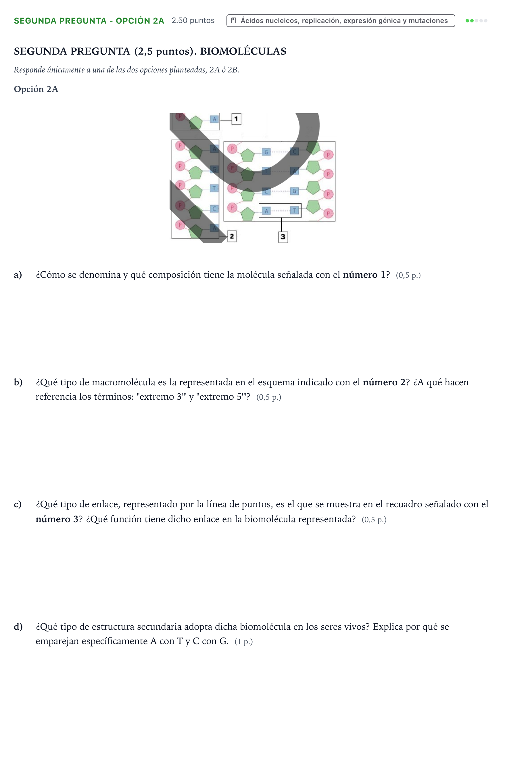 Enunciado: Ejercicio Segunda Pregunta - Opción 2A · Biología PAU País Vasco Ordinaria 2025