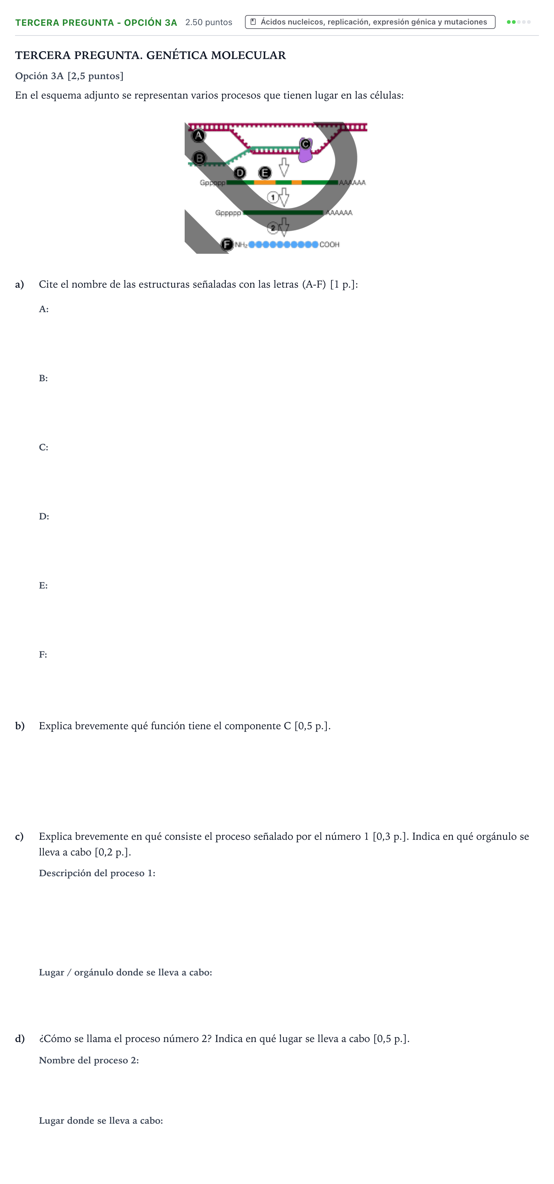 Enunciado: Ejercicio Tercera Pregunta - Opción 3A · Biología PAU País Vasco Ordinaria 2025