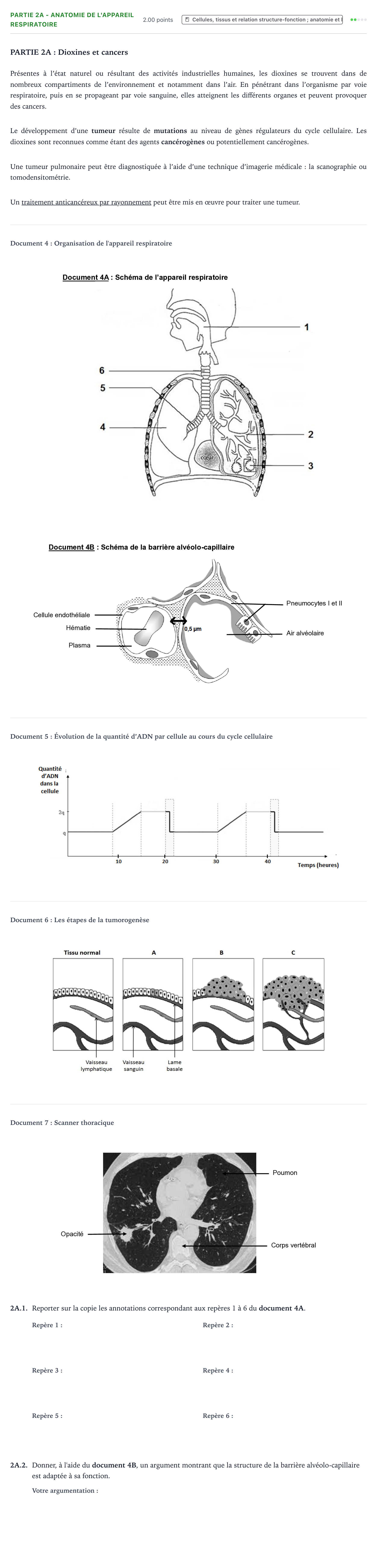 Énoncé: Partie 2A - Anatomie de l'appareil respiratoire · Bac ST2S Chimie, Biologie et Physiopathologie Humaines Métropole Candidat libre 2021
