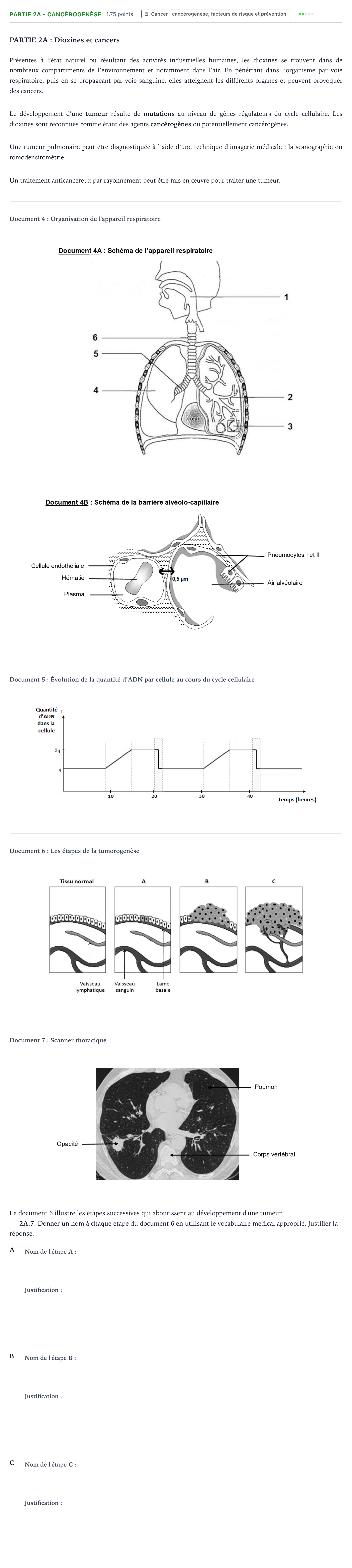 Énoncé: Partie 2A - Cancérogenèse · Bac ST2S Chimie, Biologie et Physiopathologie Humaines Métropole Candidat libre 2021