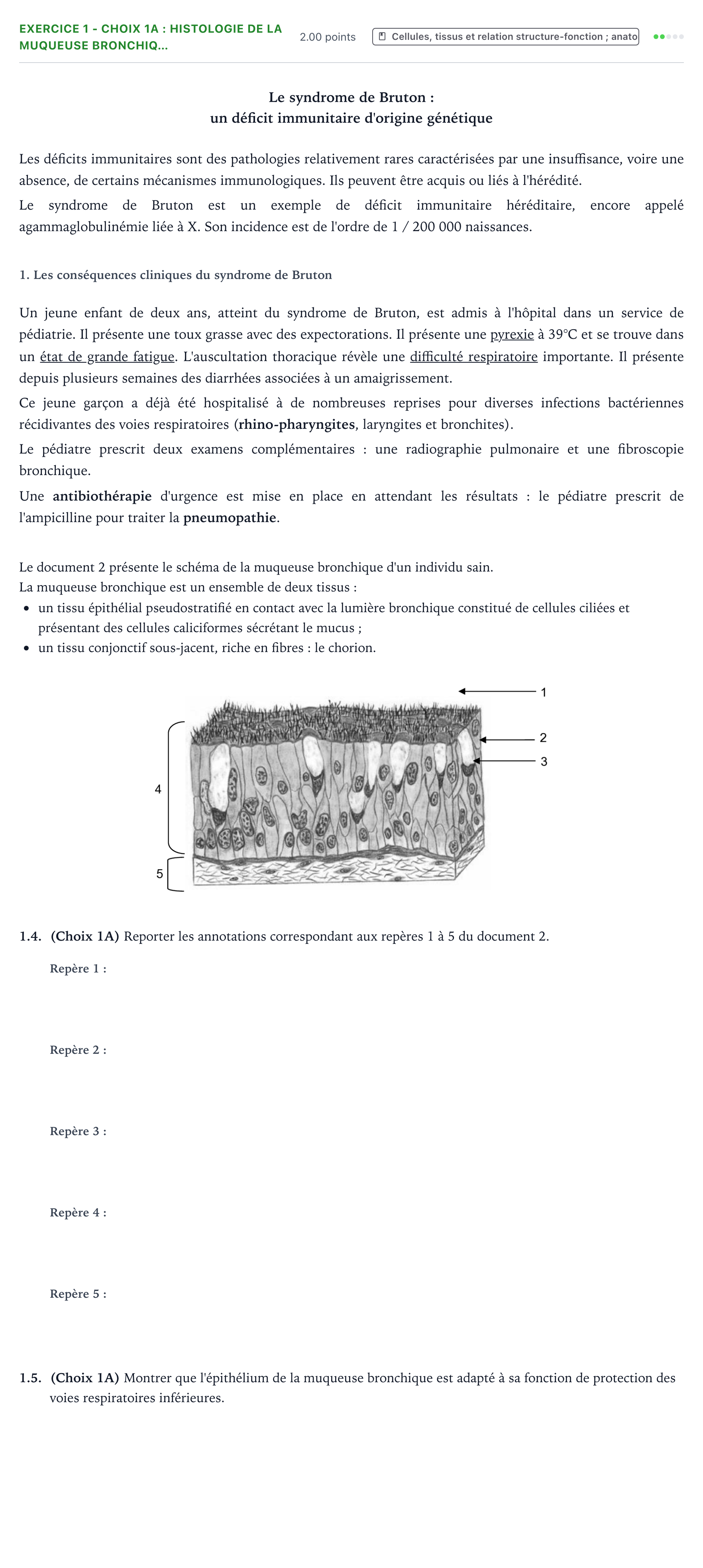Énoncé: Exercice 1 - Choix 1A : Histologie de la muqueuse bronchiq… · Bac ST2S Chimie, Biologie et Physiopathologie Humaines Métropole remplacement 2022