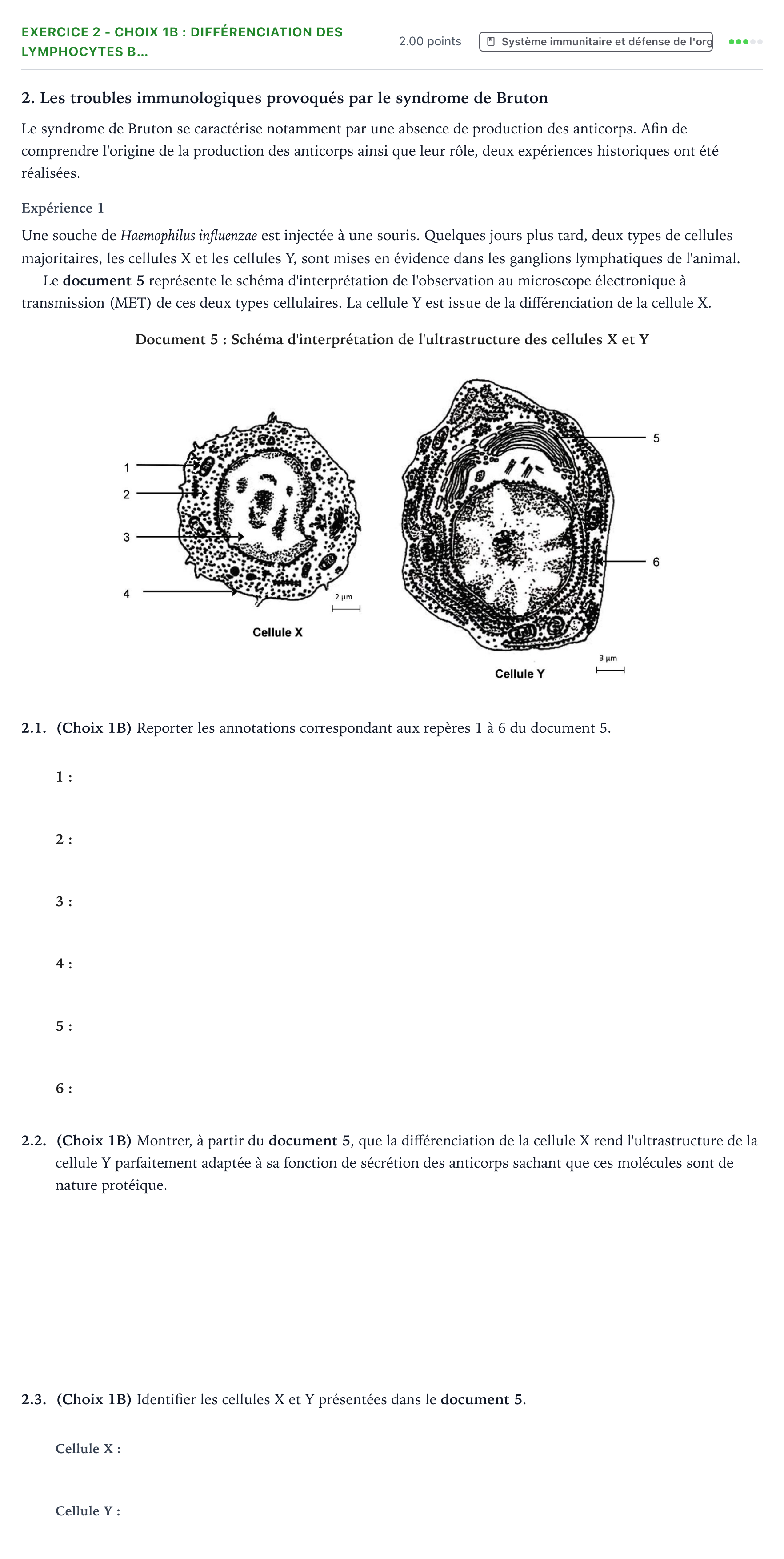 Énoncé: Exercice 2 - Choix 1B : Différenciation des lymphocytes B… · Bac ST2S Chimie, Biologie et Physiopathologie Humaines Métropole remplacement 2022