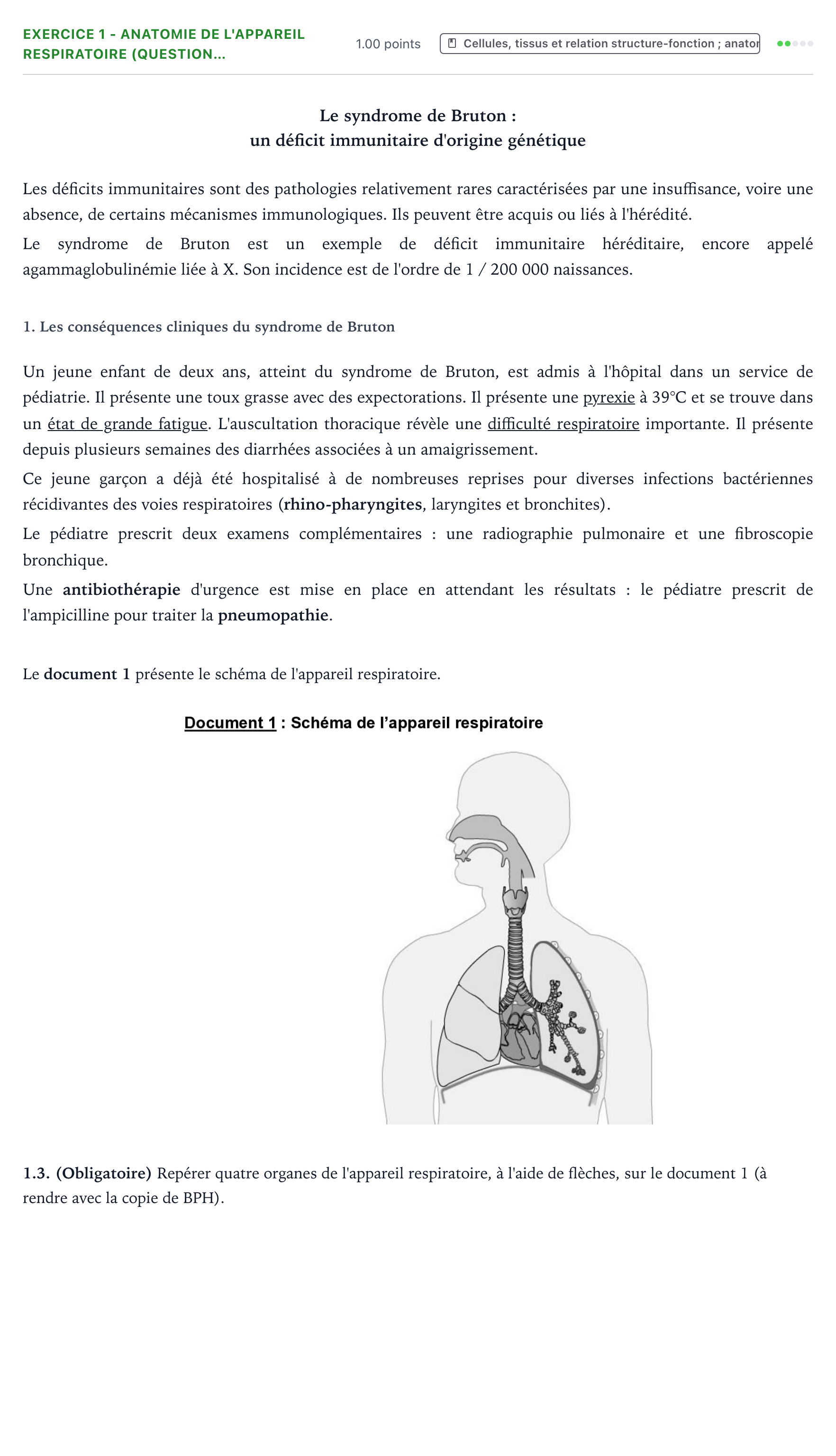 Énoncé: Exercice 1 - Anatomie de l'appareil respiratoire (question… · Bac ST2S Chimie, Biologie et Physiopathologie Humaines Métropole remplacement 2022