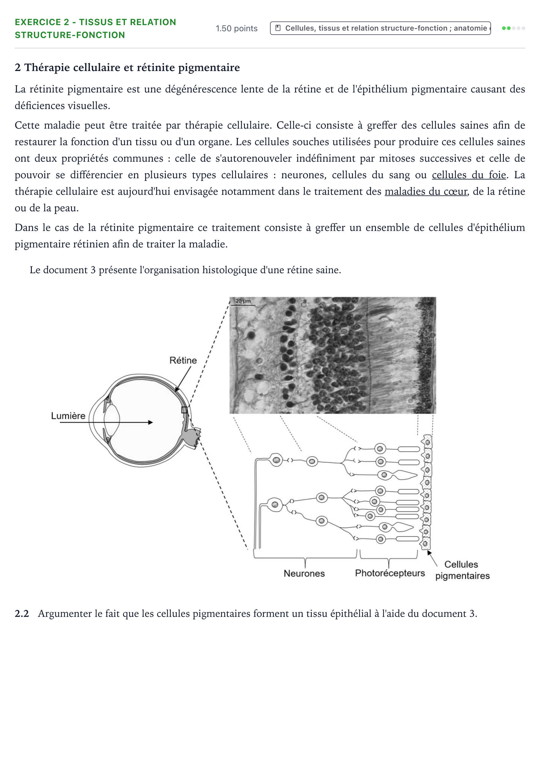Énoncé: Exercice 2 - Tissus et relation structure-fonction · Bac ST2S Chimie, Biologie et Physiopathologie Humaines Métropole remplacement 2025