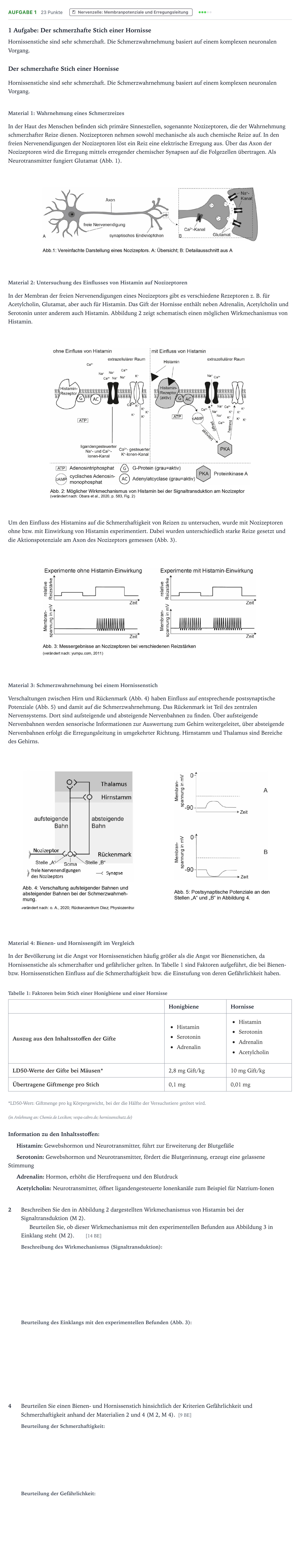 Aufgabenstellung: Aufgabe 1 – Nervenzelle: Membranpotenziale und Er… · Abitur NRW Biologie LK · Hornisse-EN 2025