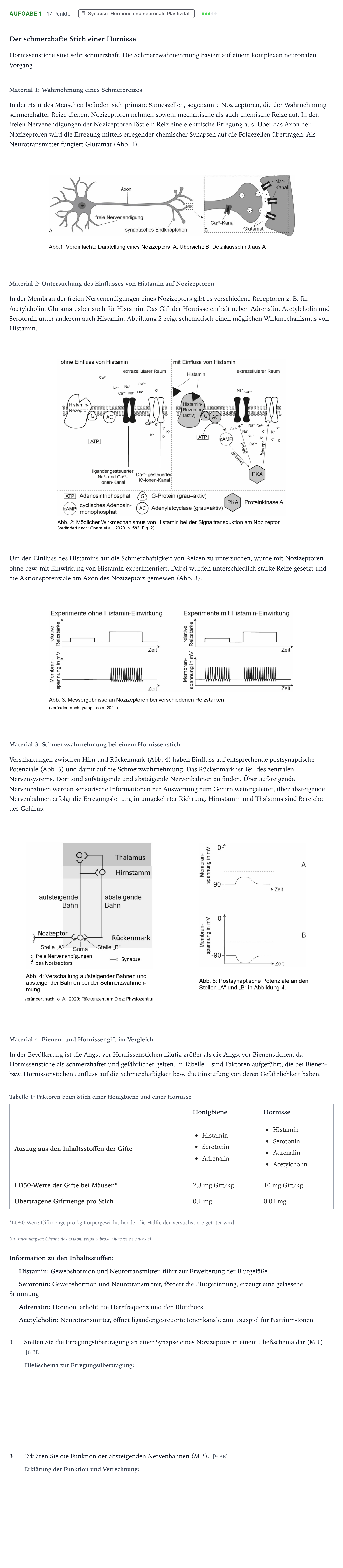 Aufgabenstellung: Aufgabe 1 – Synapse, Hormone und neuronale Plasti… · Abitur NRW Biologie LK · Hornisse-EN 2025