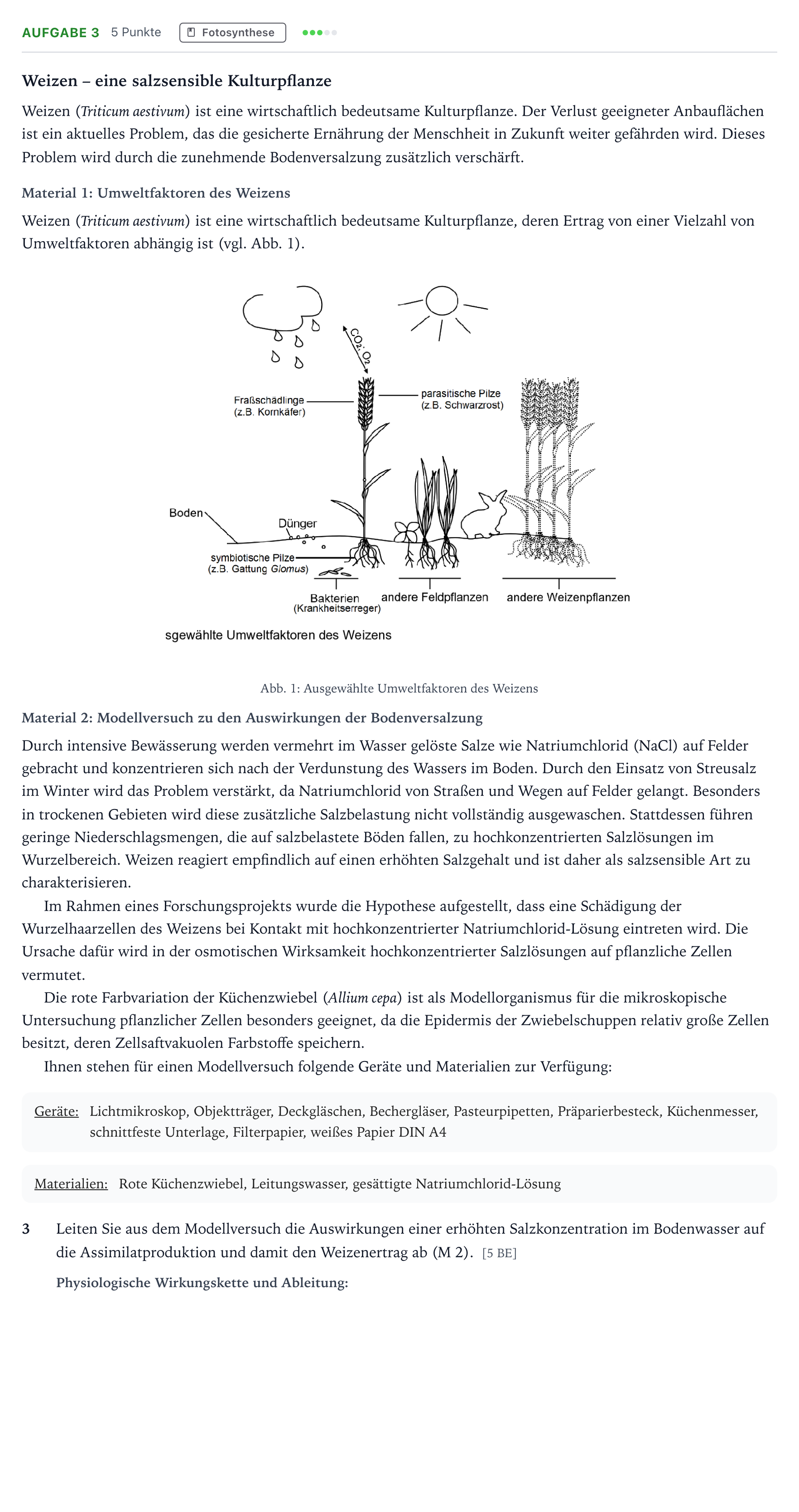 Aufgabenstellung: Aufgabe 3 - Fotosynthese · Abitur NRW Biologie GK · Salztoleranz-GN 2025