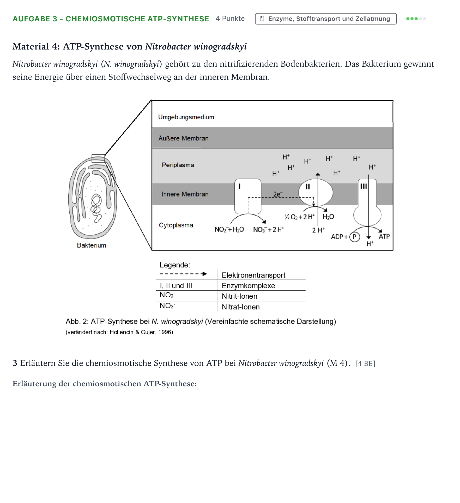 Aufgabenstellung: Aufgabe 3 - Chemiosmotische ATP-Synthese · Abitur NRW Biologie LK · Stickstoff 2025