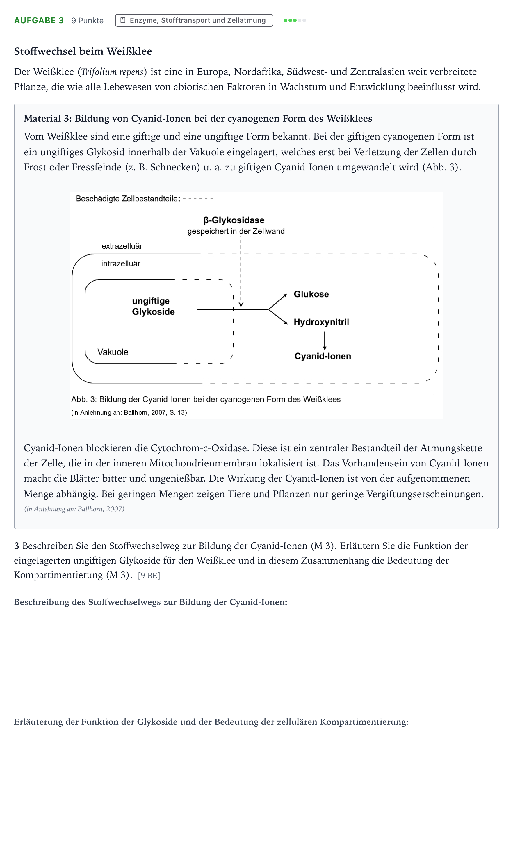 Aufgabenstellung: Aufgabe 3 - Enzyme, Stofftransport und Zellatmung · Abitur NRW Biologie GK · Weißklee 2025