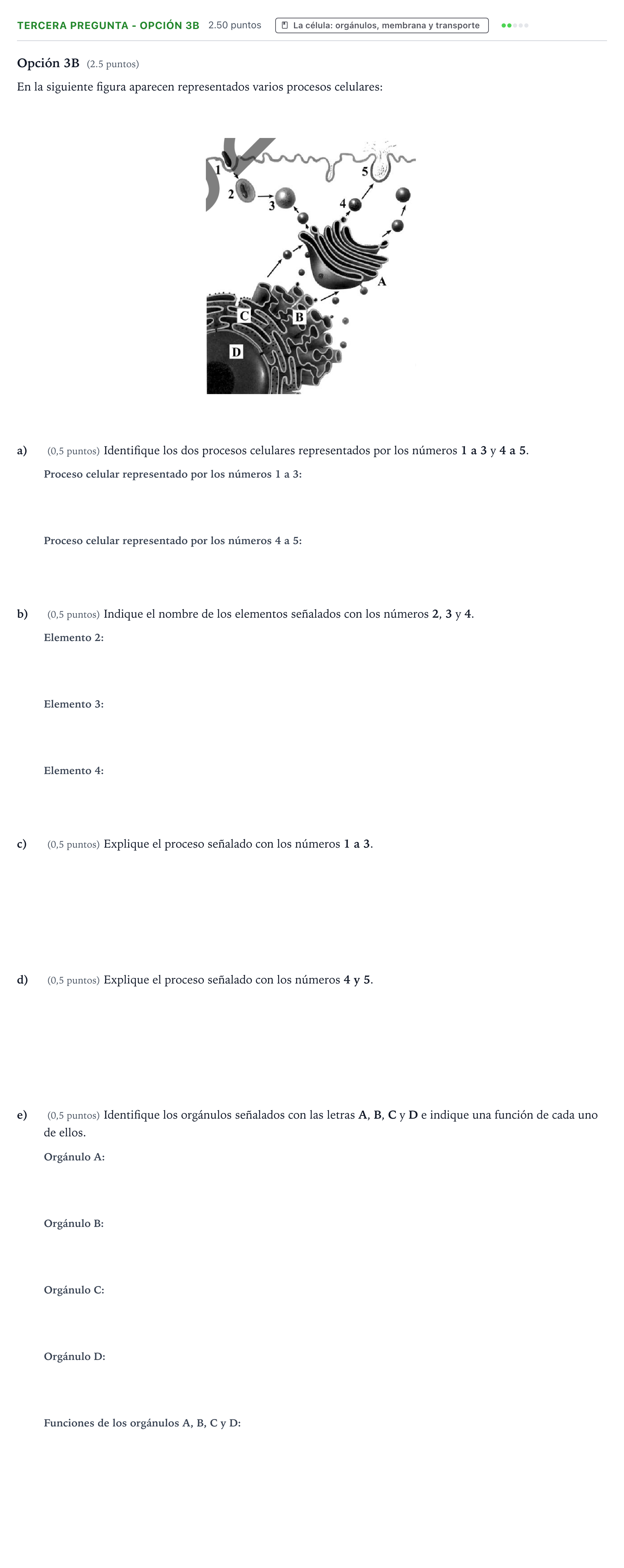 Enunciado: Ejercicio Tercera Pregunta - Opción 3B · Biología PAU País Vasco Ordinaria 2022