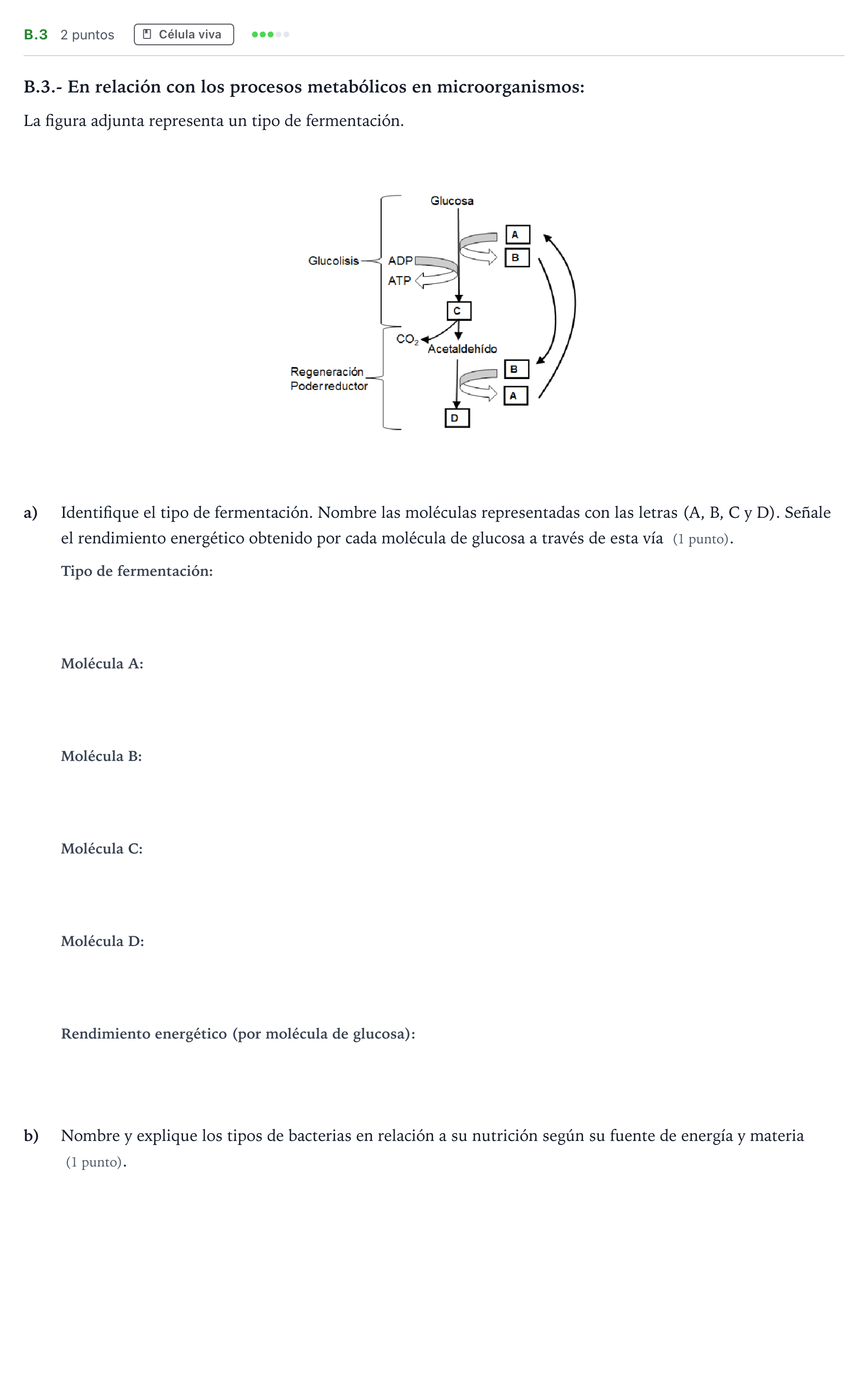 Enunciado: Ejercicio B.3 · Biología PAU Madrid Ordinaria Coincidencias 2021