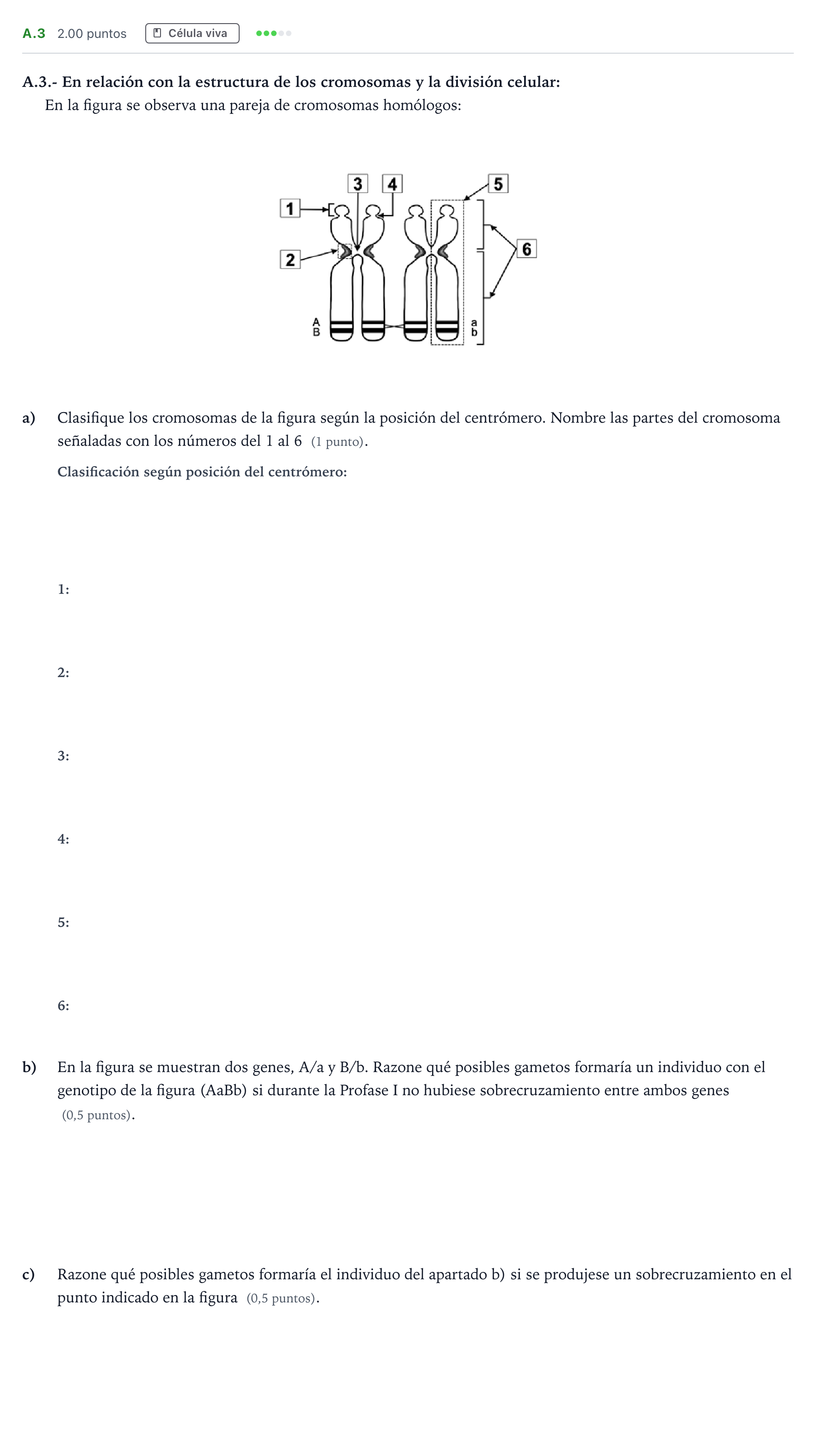 Enunciado: Ejercicio A.3 · Biología PAU Madrid Modelo 2024