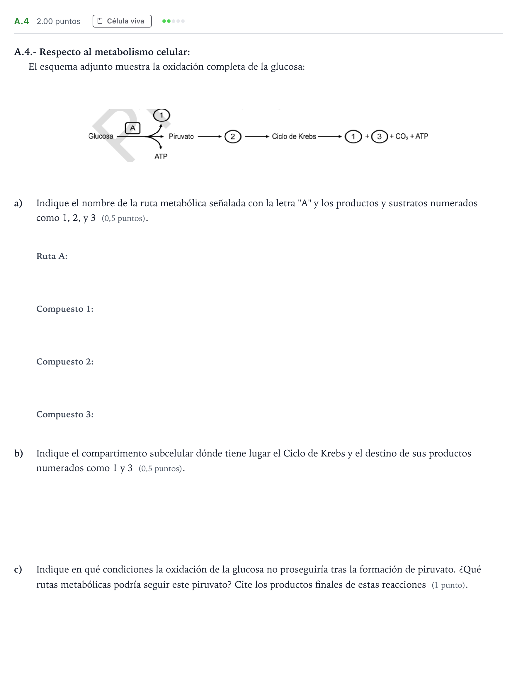 Enunciado: Ejercicio A.4 · Biología PAU Madrid Modelo 2024