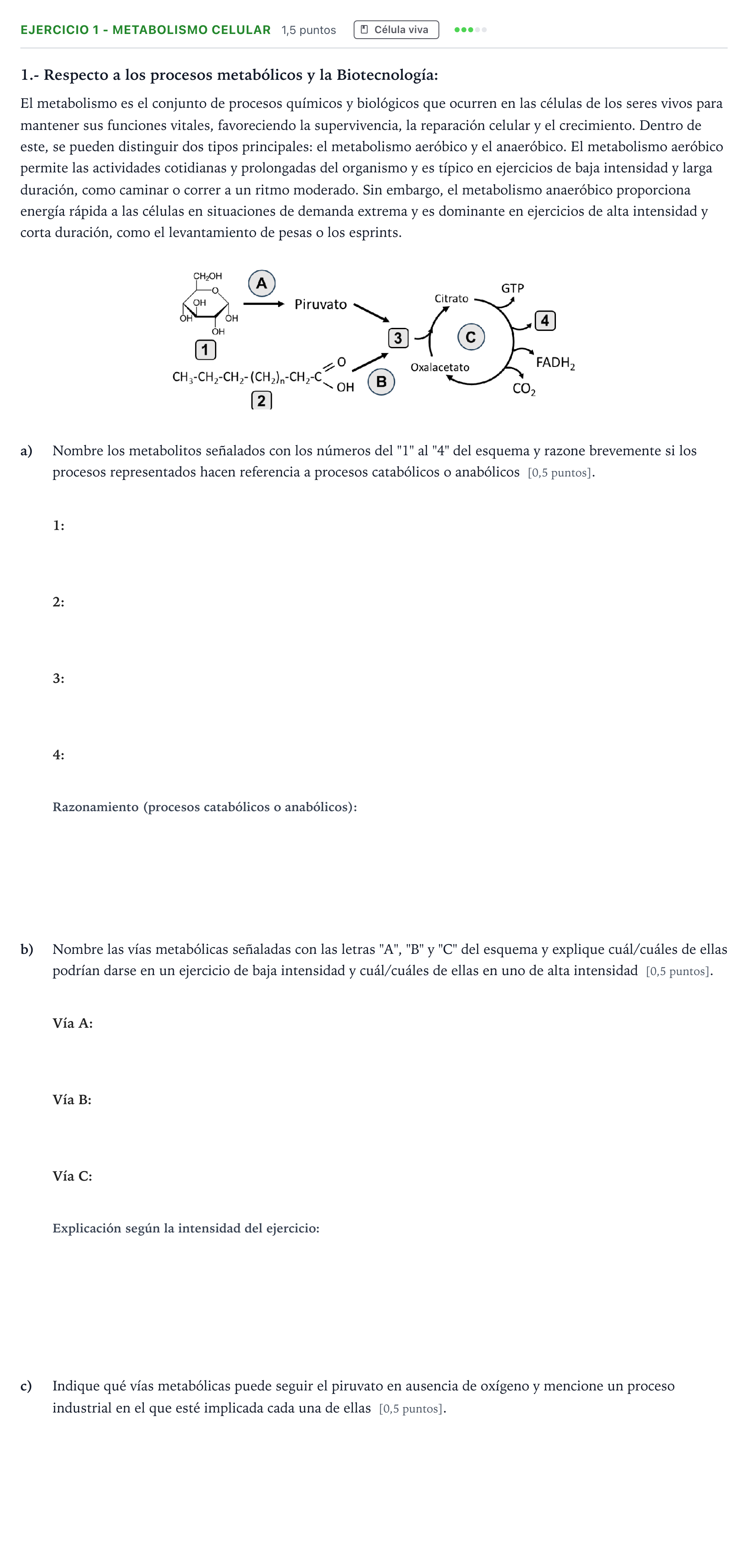 Enunciado: Ejercicio 1 - Metabolismo celular · Biología PAU Madrid Modelo 2025
