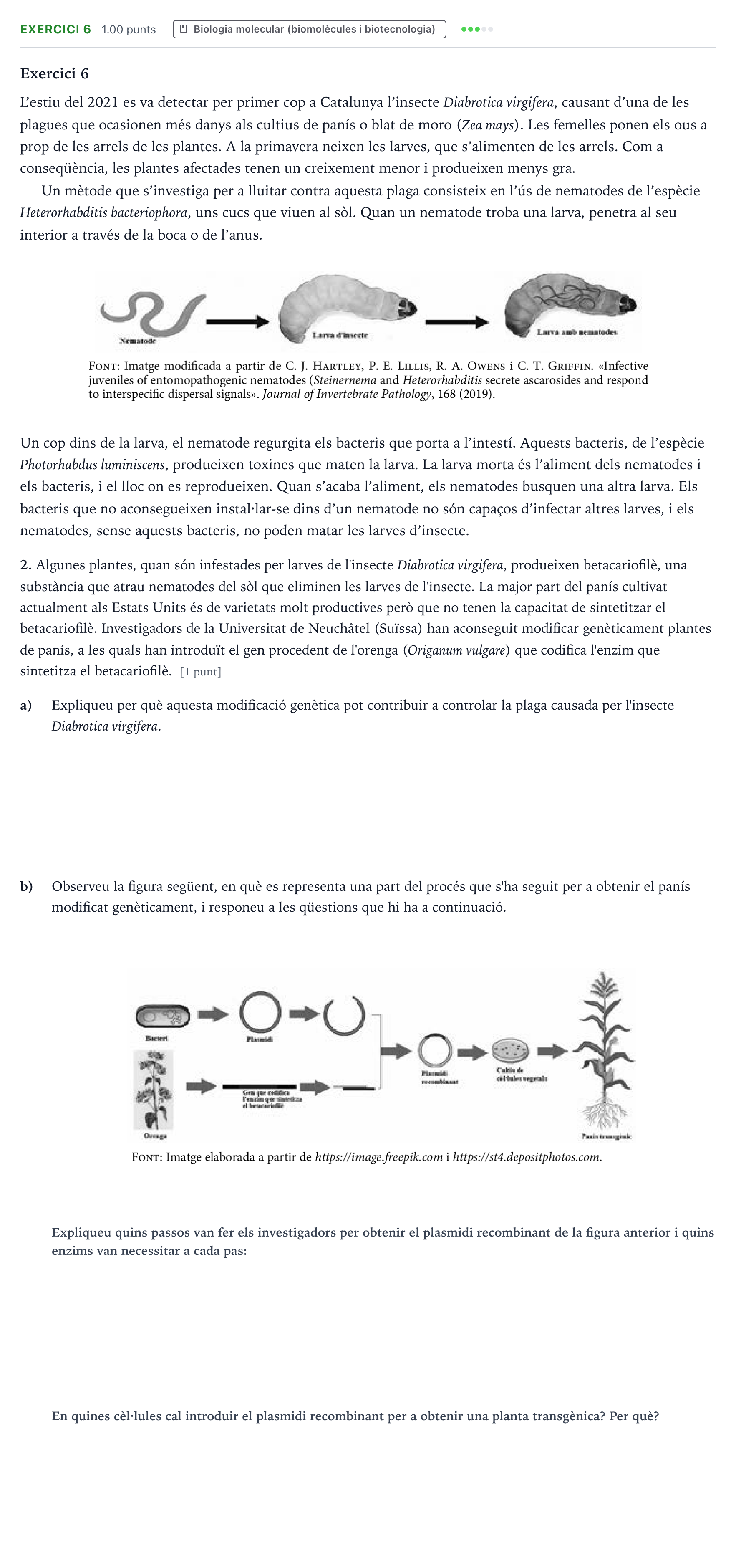 Enunciado: Exercici 6 - Biologia molecular (biomolècules i b… · Biología Selectividad Cataluña Setembre Serie 3 2022