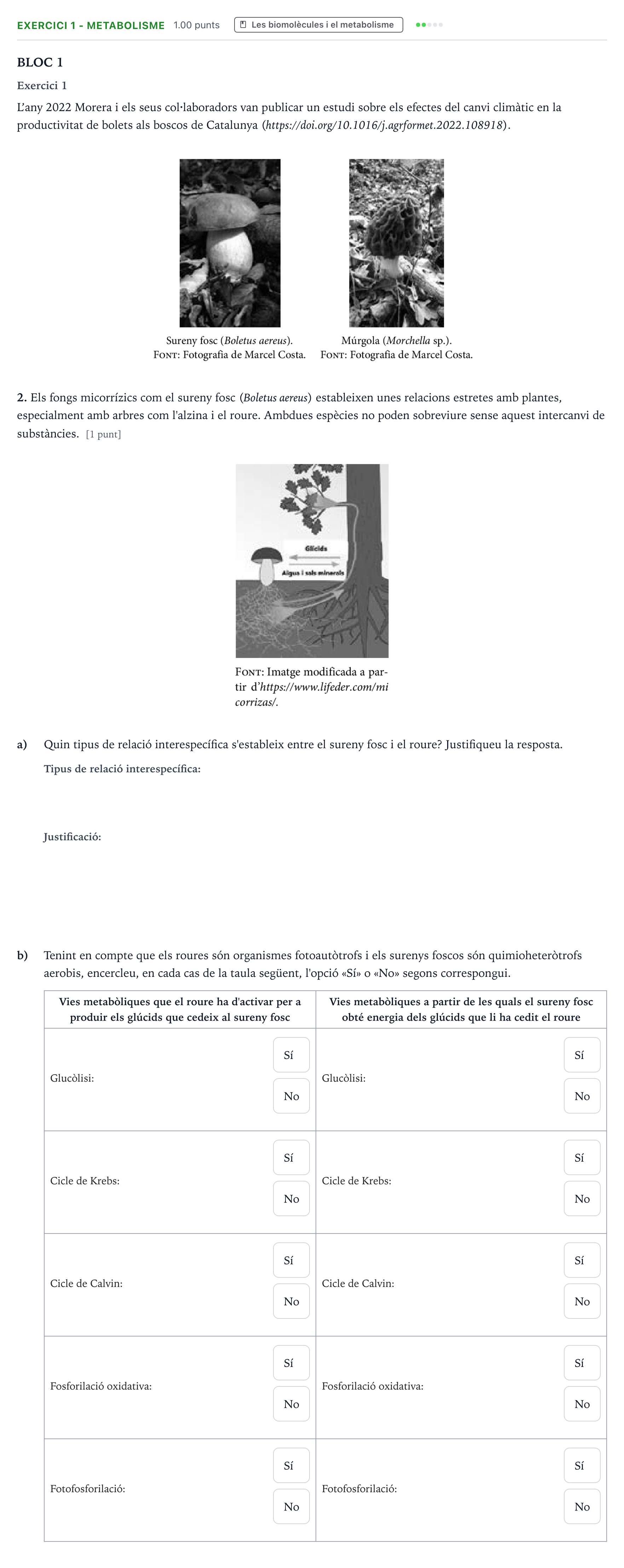 Enunciado: Exercici 1 - Metabolisme · Biología Selectividad Cataluña Juny Serie 5 2023