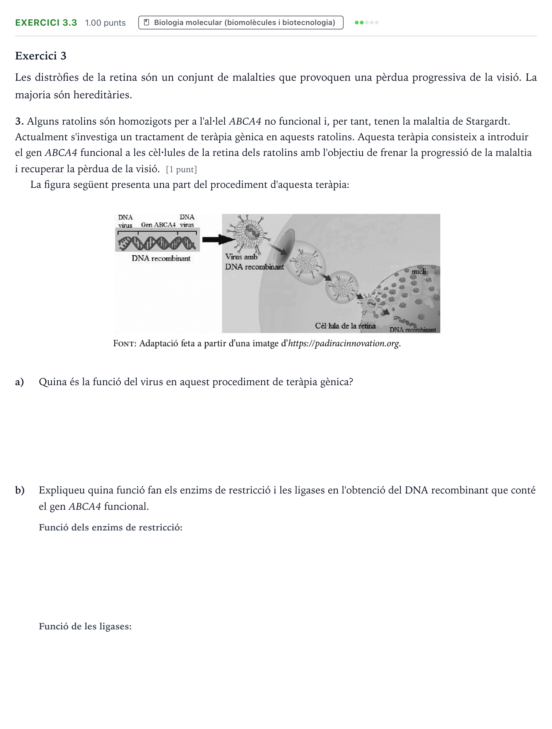 Enunciado: Ejercicio 3.3 - Biologia molecular · Biología Selectividad Cataluña Juny Serie 1 2024
