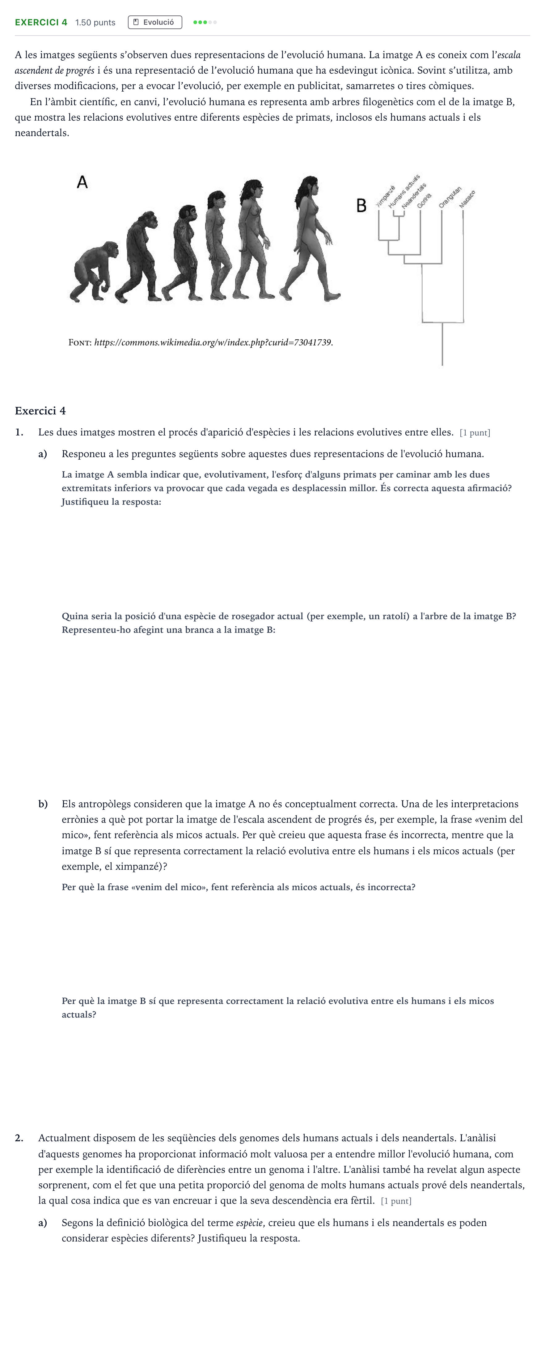 Enunciado: Exercici 4 - Evolució · Biología Selectividad Cataluña Setembre Serie 3 2024