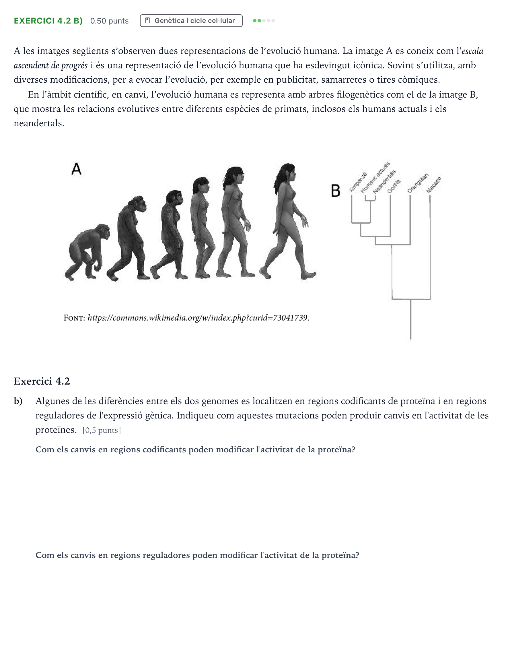 Enunciado: Exercici 4.2 b) - Genètica · Biología Selectividad Cataluña Setembre Serie 3 2024