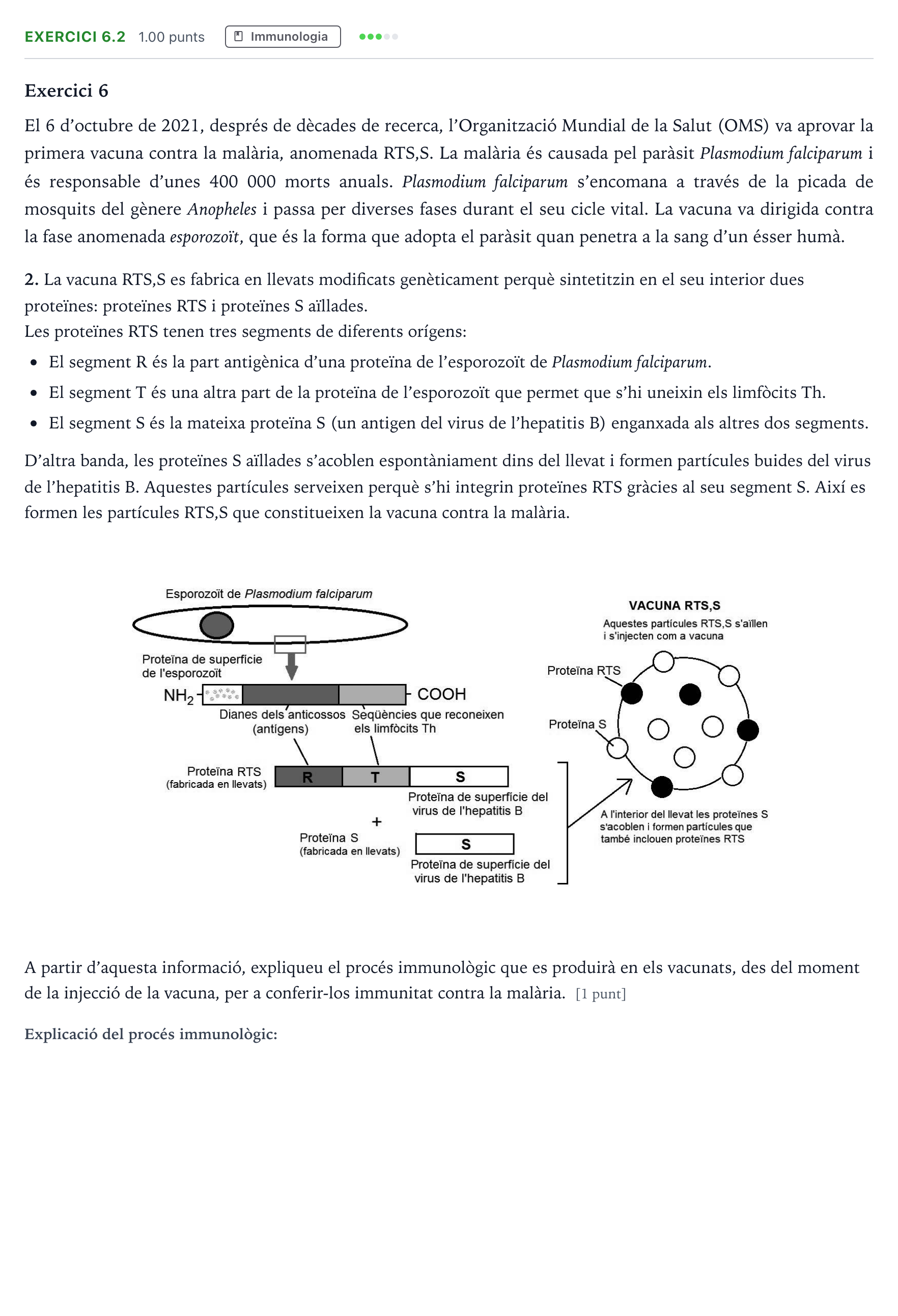 Enunciado: Exercici 6.2 - Immunologia · Biología Selectividad Cataluña Setembre Serie 3 2024