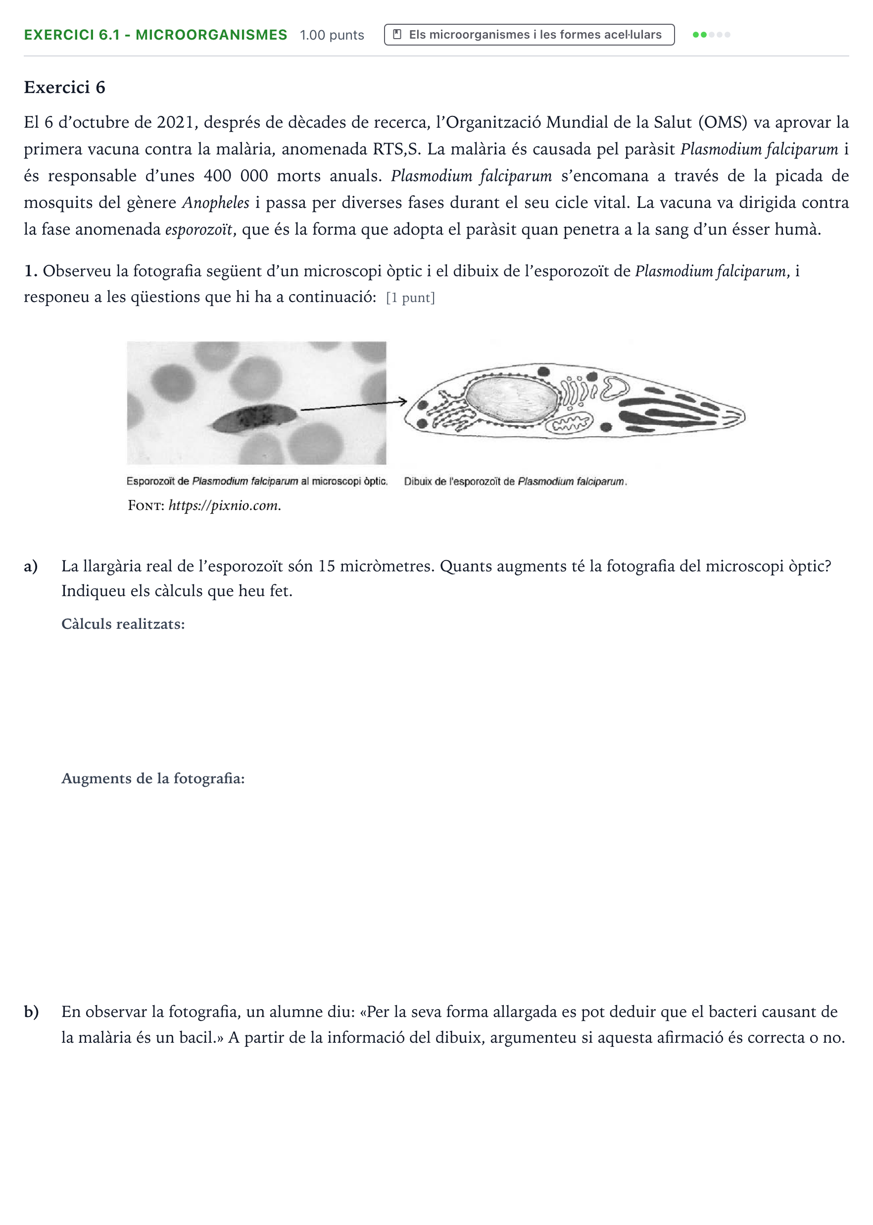 Enunciado: Exercici 6.1 - Microorganismes · Biología Selectividad Cataluña Setembre Serie 3 2024