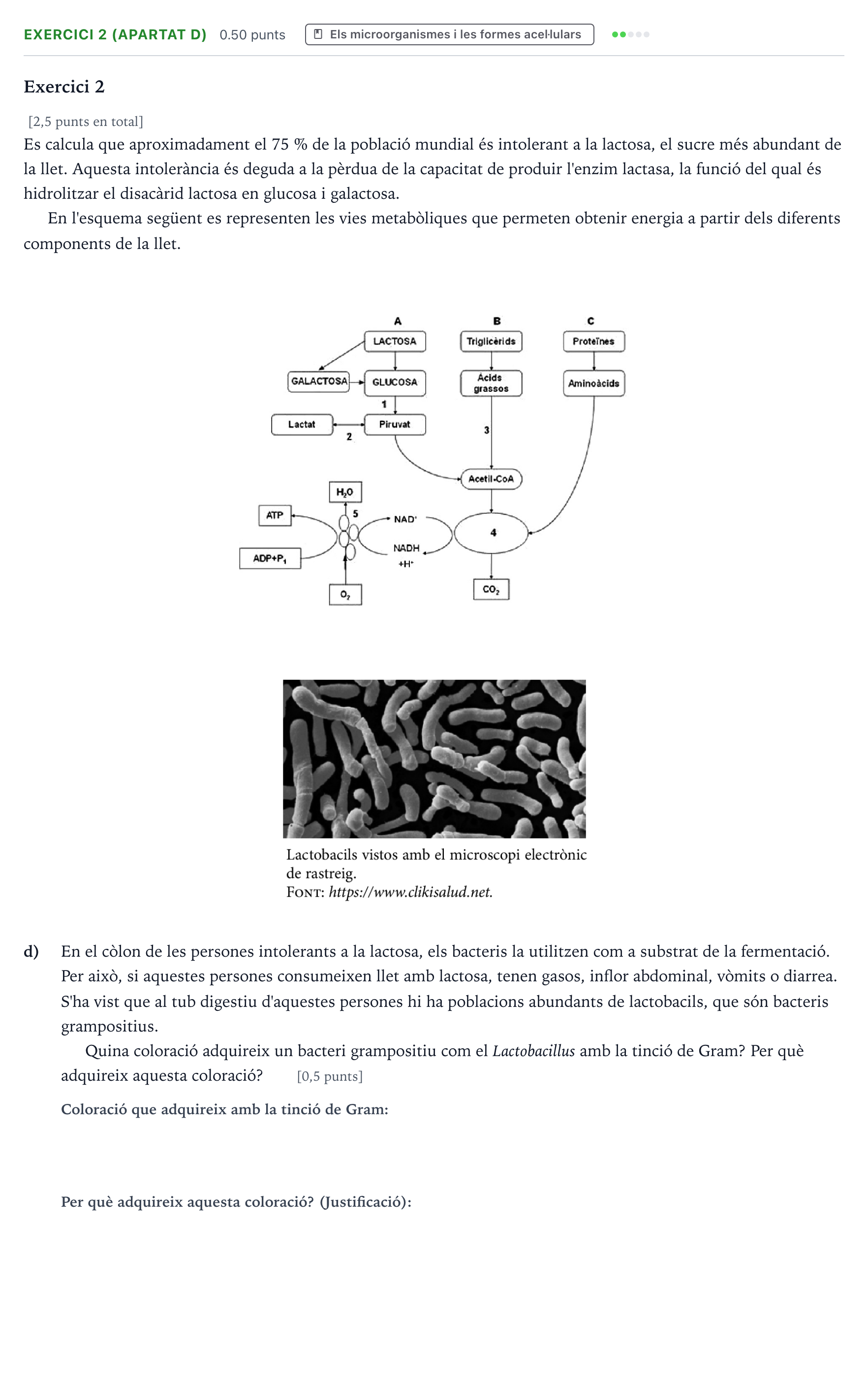 Enunciado: Exercici 2 (apartat d) · Biología Selectividad Cataluña Juny Serie 1 2025