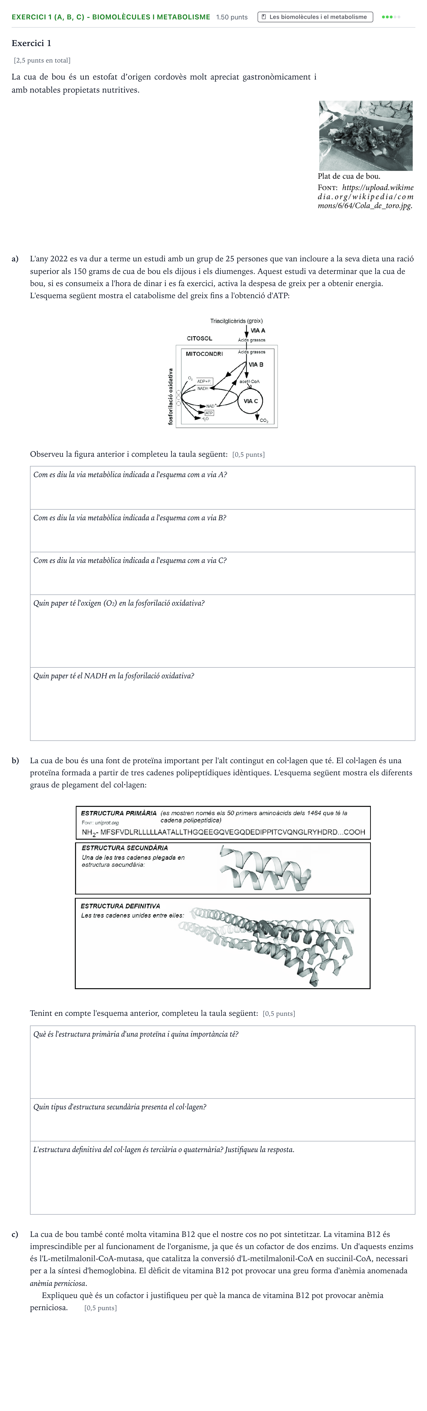 Enunciado: Exercici 1 (a, b, c) - Biomolècules i metabolisme · Biología Selectividad Cataluña Juny Serie 4 2025