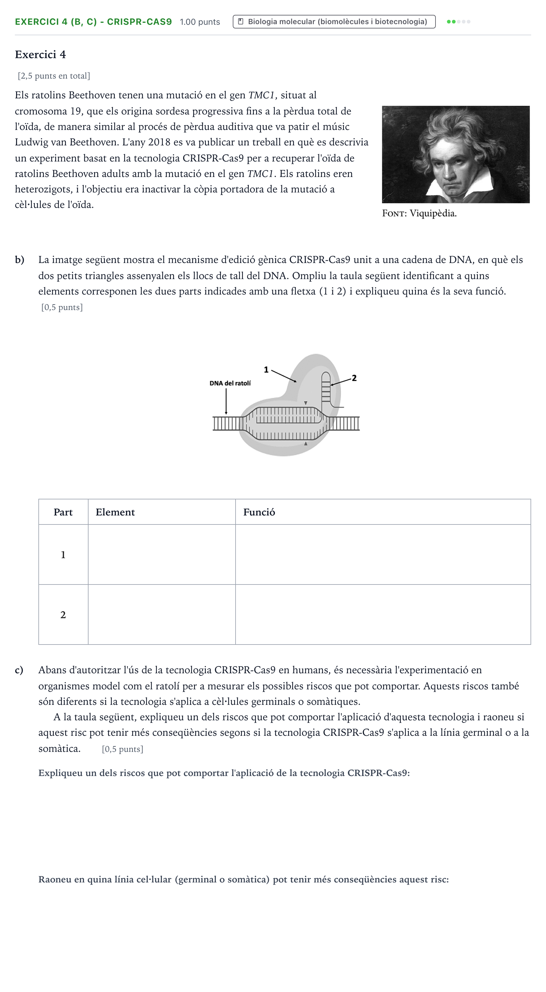 Enunciado: Exercici 4 (b, c) - CRISPR-Cas9 · Biología Selectividad Cataluña Juny Serie 4 2025