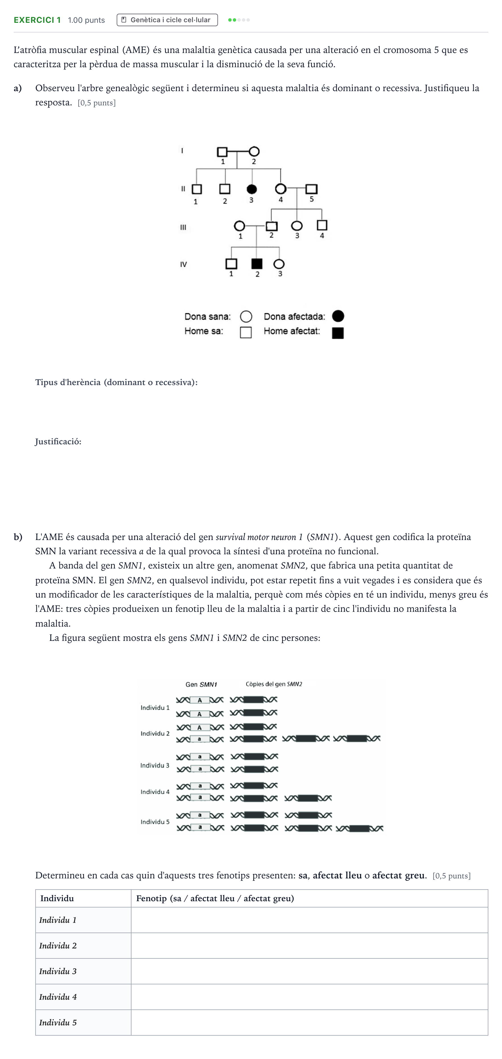 Enunciado: Exercici 1 - Genètica · Biología Selectividad Cataluña Setembre Serie 3 2025