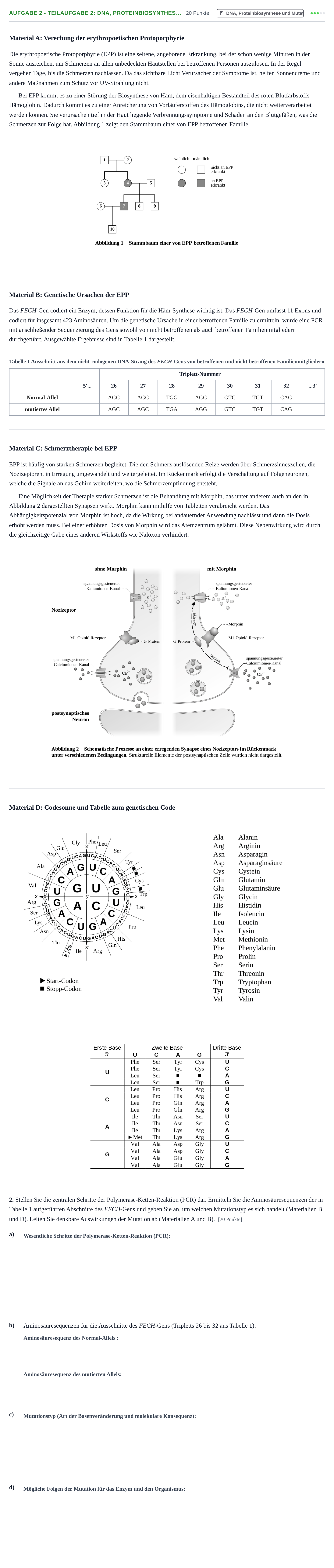 Aufgabenstellung: Aufgabe 2 - Teilaufgabe 2: DNA, Proteinbiosynthes… · Abitur NRW Biologie GK · Nachtermin 2023
