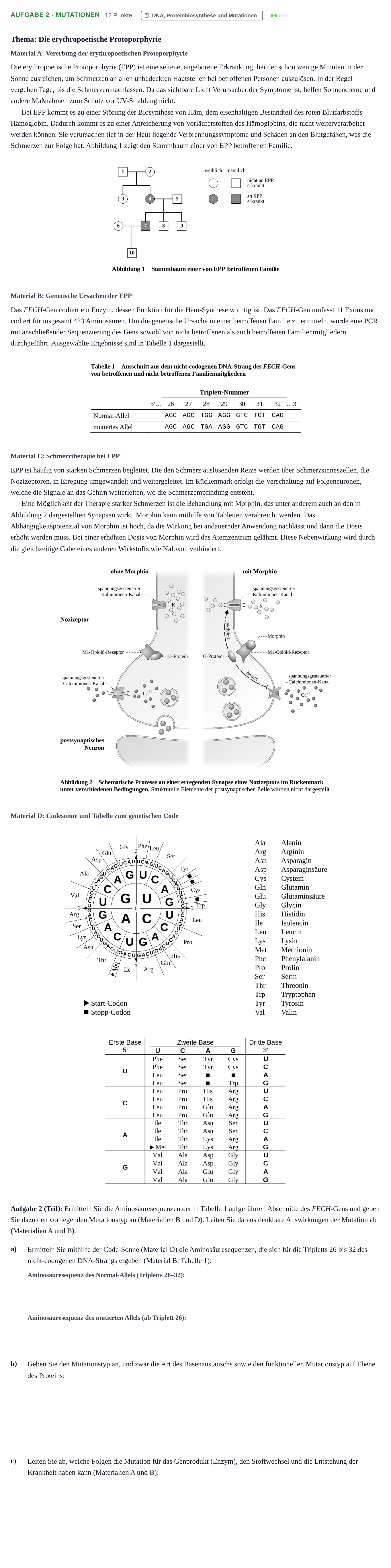 Aufgabenstellung: Aufgabe 2 - Mutationen · Abitur NRW Biologie GK · Nachtermin · Weiterbildungskolleg 2023