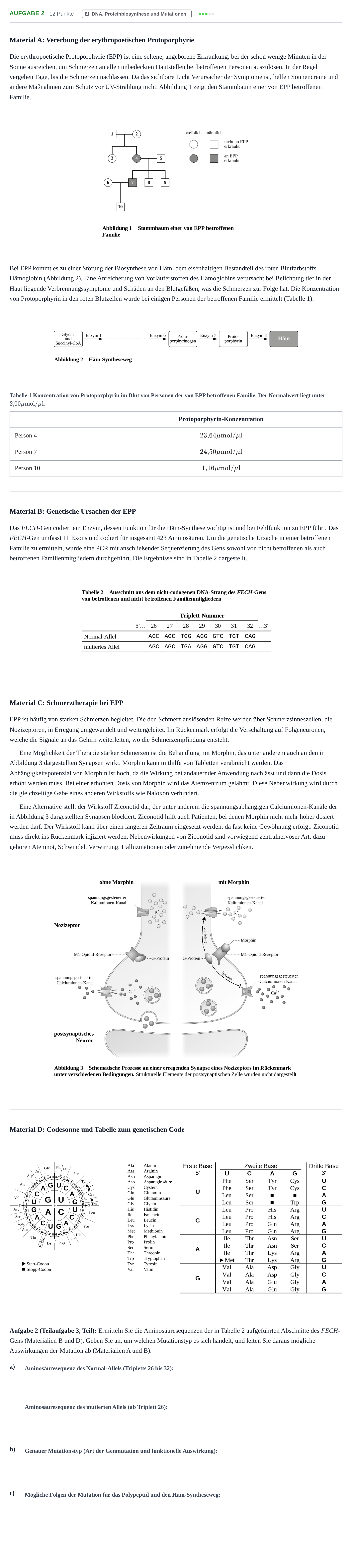 Aufgabenstellung: Aufgabe 2 - DNA, Proteinbiosynthese und Mutationen · Abitur NRW Biologie LK · Nachtermin 2023