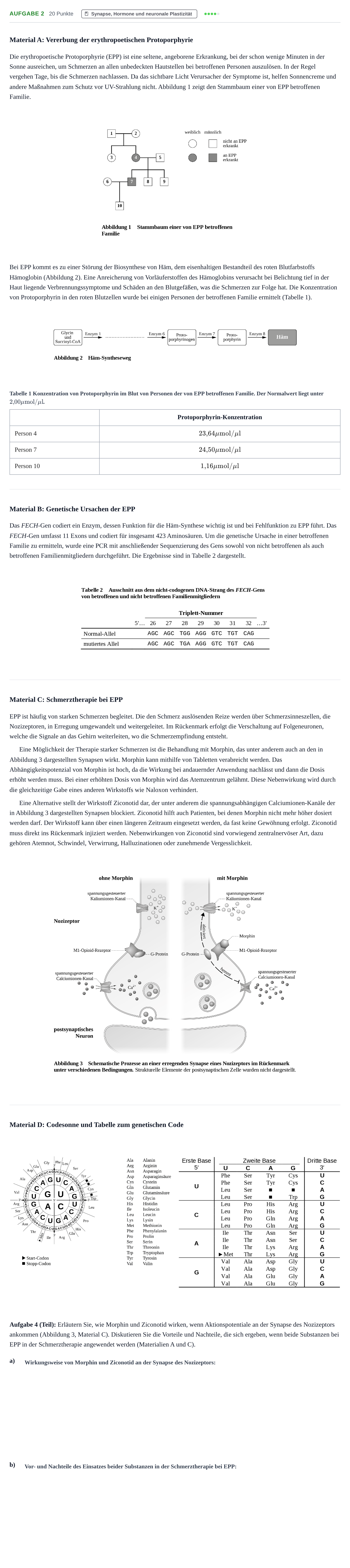 Aufgabenstellung: Aufgabe 2 - Synapse, Hormone und neuronale Plasti… · Abitur NRW Biologie LK · Nachtermin 2023